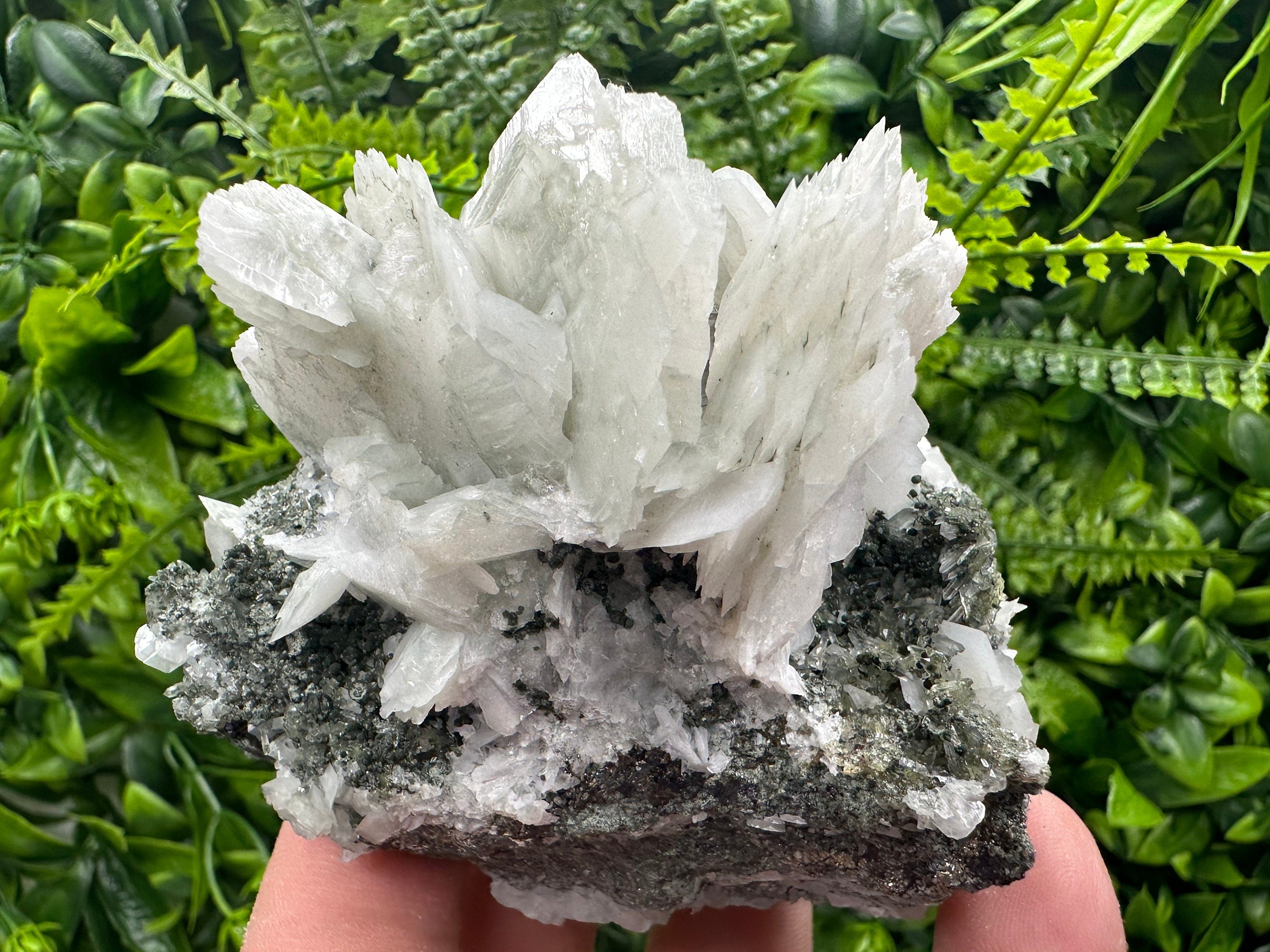 Calcite on Quartz with Epidote Mineral Specimen: Borieva Mine, Bulgaria