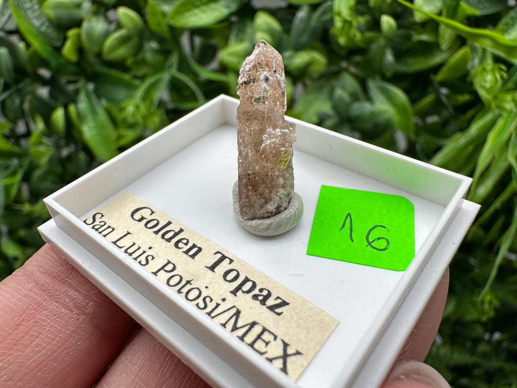 Golden Topaz Crystal, Mineral Specimen from Mexico
