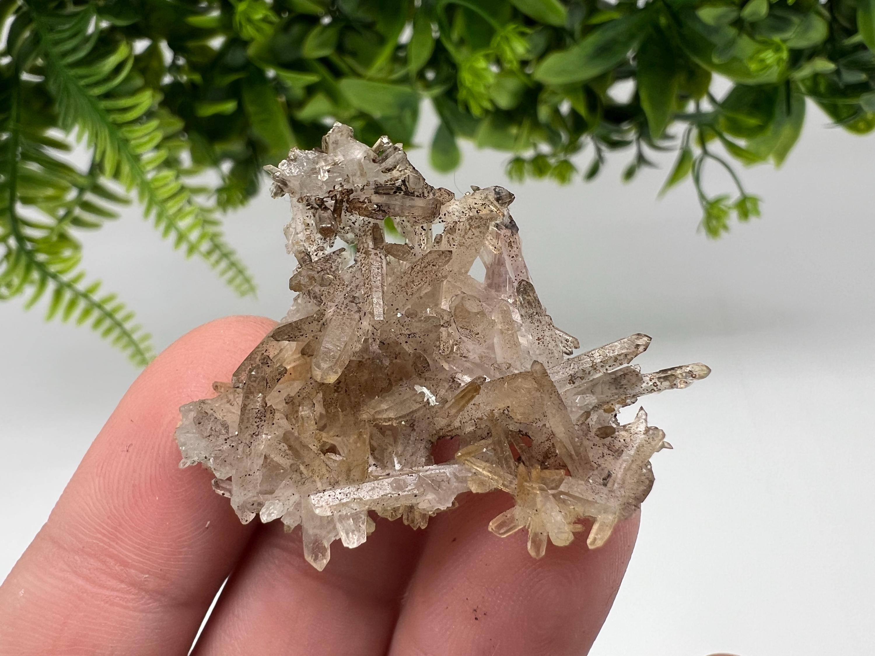 Bulgarian Quartz Mineral Specimen: Iron Oxide Limonite, 9th September Mine
