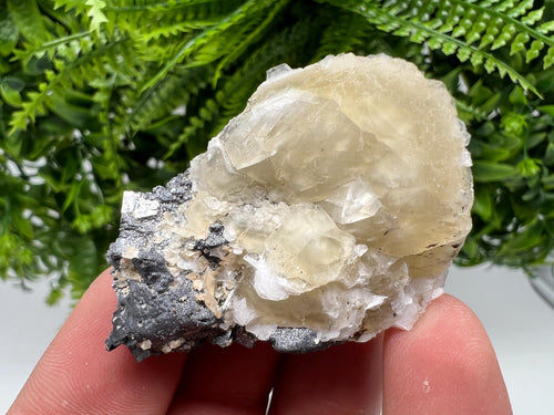 Calcite on Galena Specimen: Borieva Mine, Bulgaria