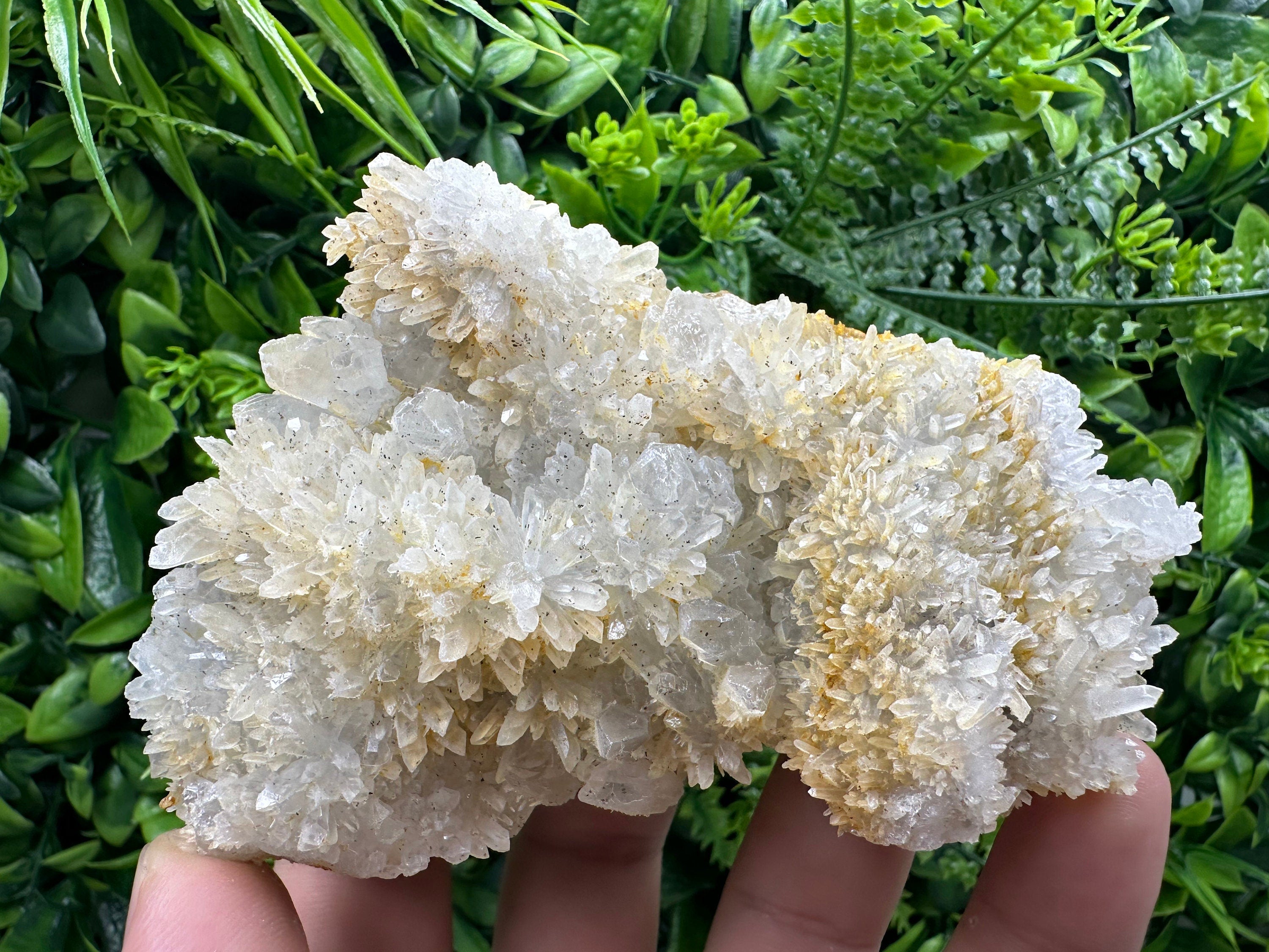 Quartz with Limonite, Iron Oxide Mineral Specimen