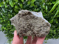 Marcasite Cluster on Chalcedony, Bulgaria Mineral Specimen