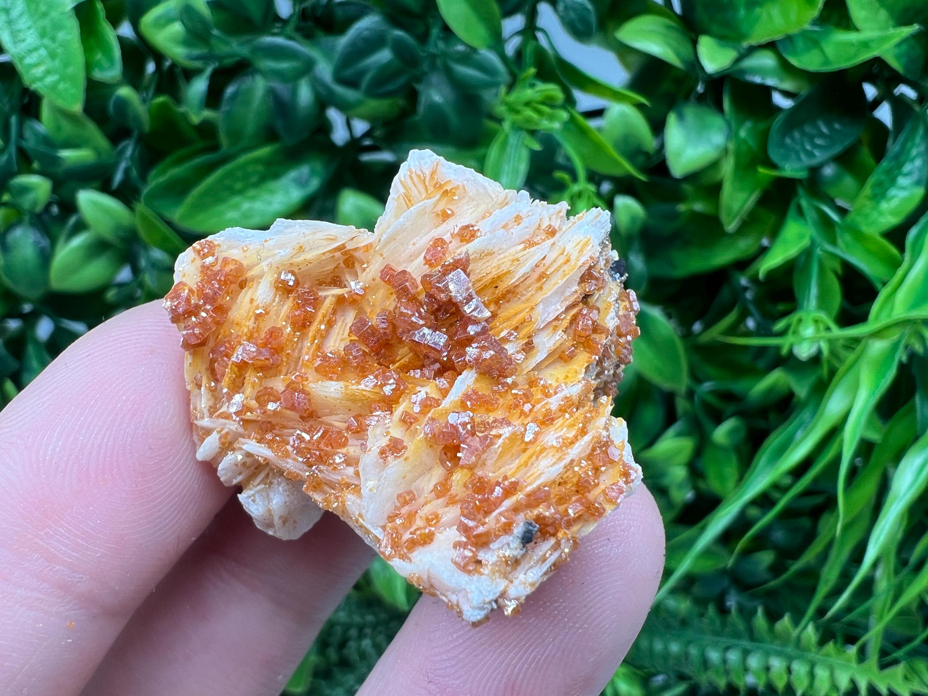 Red Vanadinite on Barite from Marocco,crystal minerals Speciment cluster Vanadinite crystal Vanadinite Geology Vanadinite cluster minerals