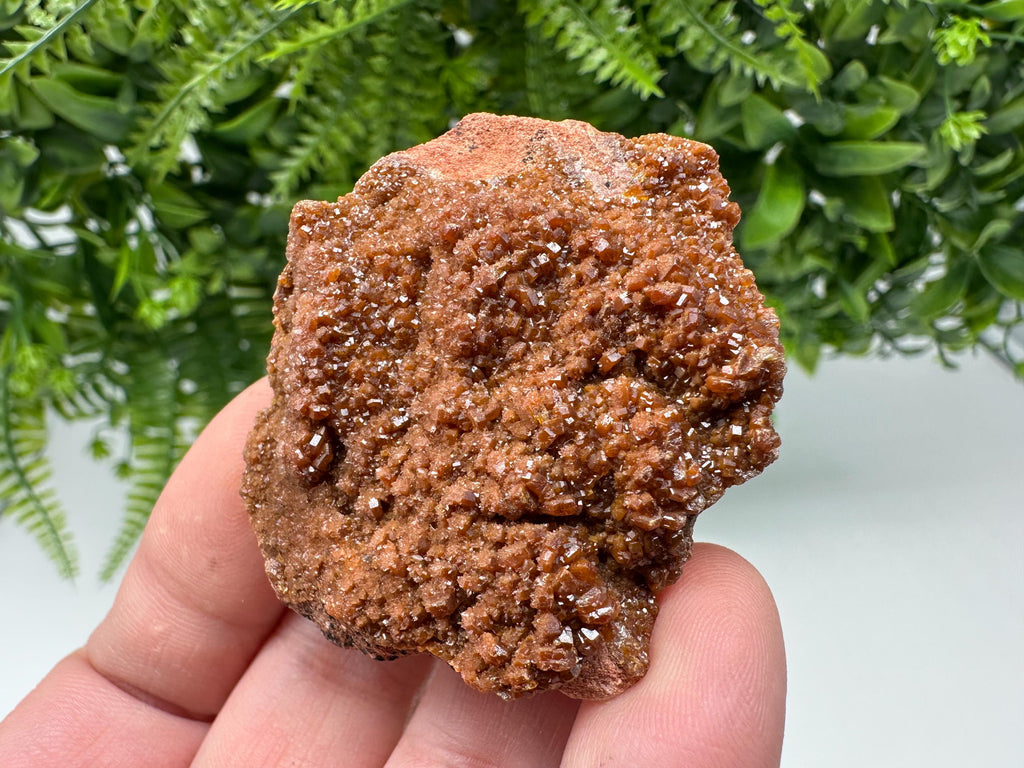 Red Vanadinite on Matrix from Marocco,crystal minerals Speciment cluster Vanadinite crystal Vanadinite Geology Vanadinite cluster minerals