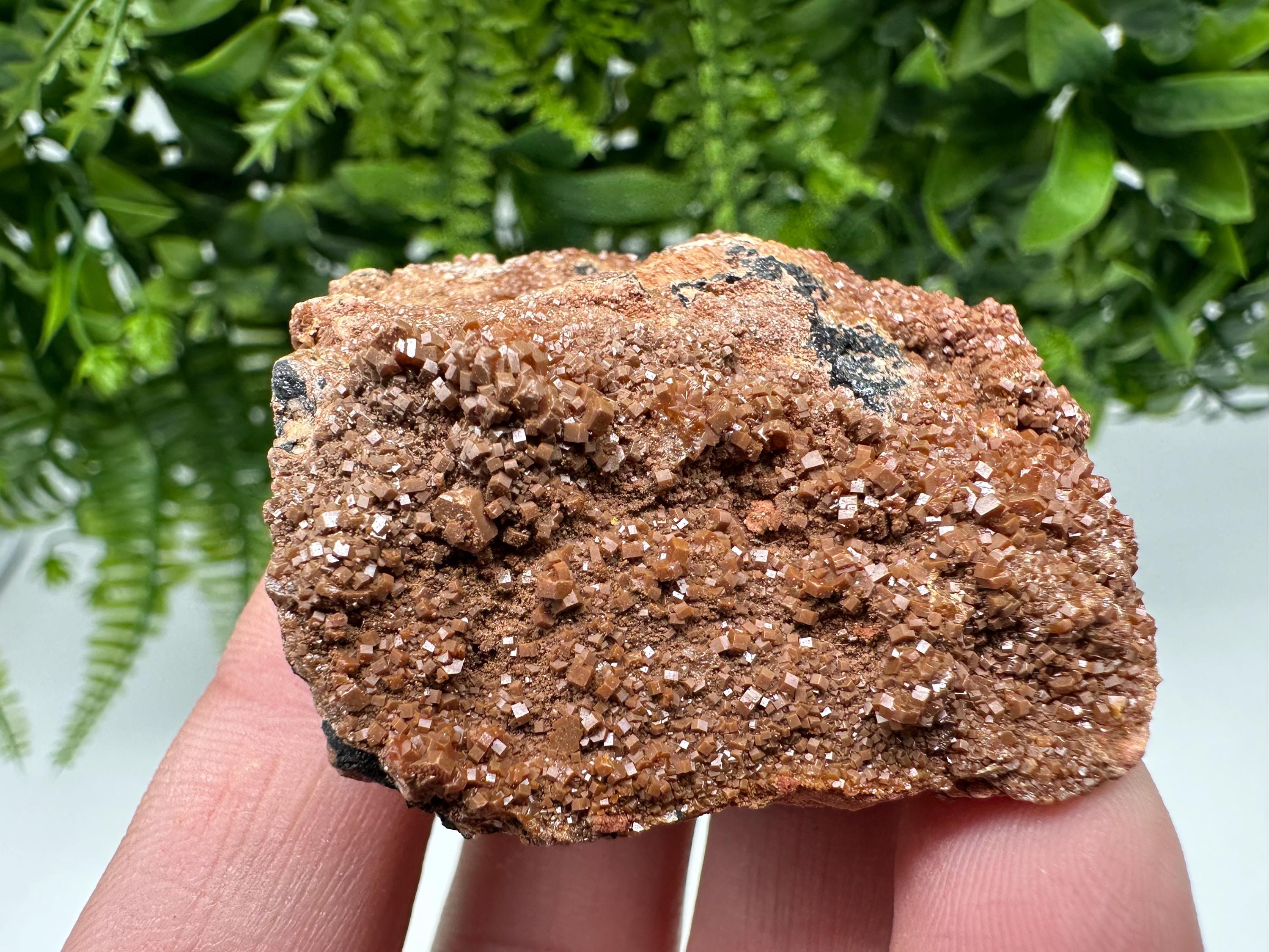 Red Vanadinite on Matrix from Marocco,crystal minerals Speciment cluster Vanadinite crystal Vanadinite Geology Vanadinite cluster minerals