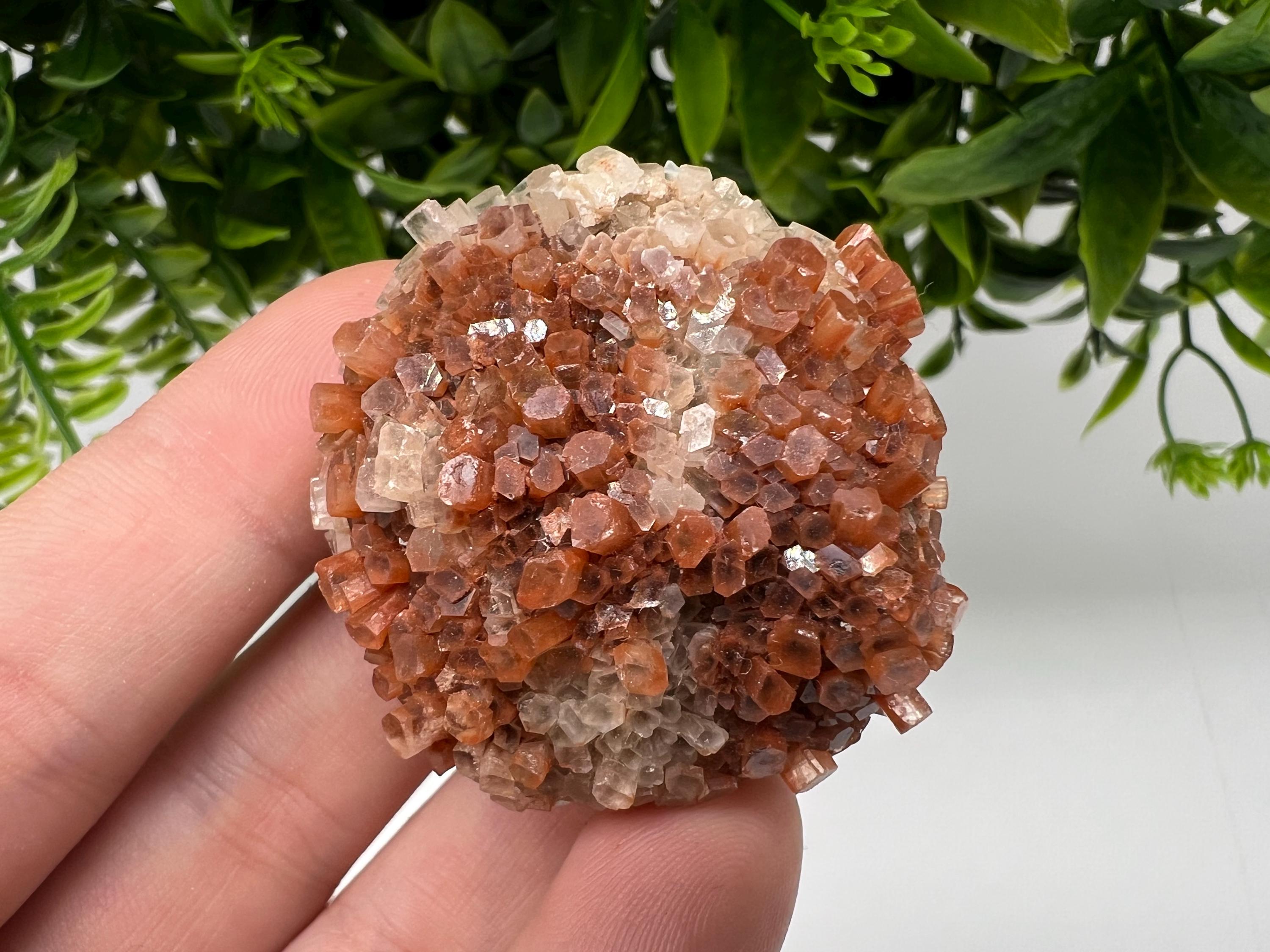Extra Large Aragonite Sputnik Cluster: Moroccan Raw Crystal Stone