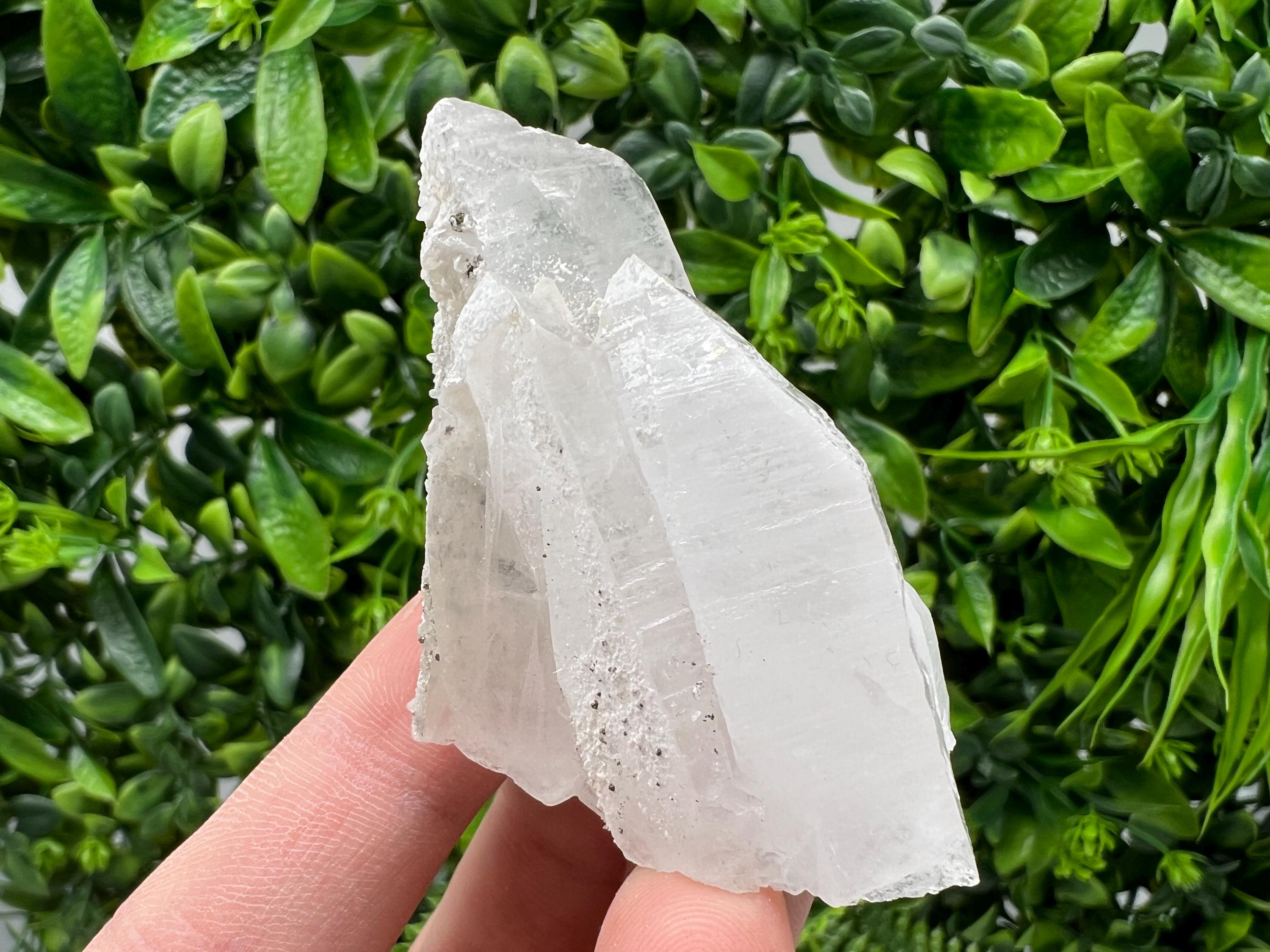 Quartz with Pyrite Mineral Specimen: Krushev dol, Bulgaria