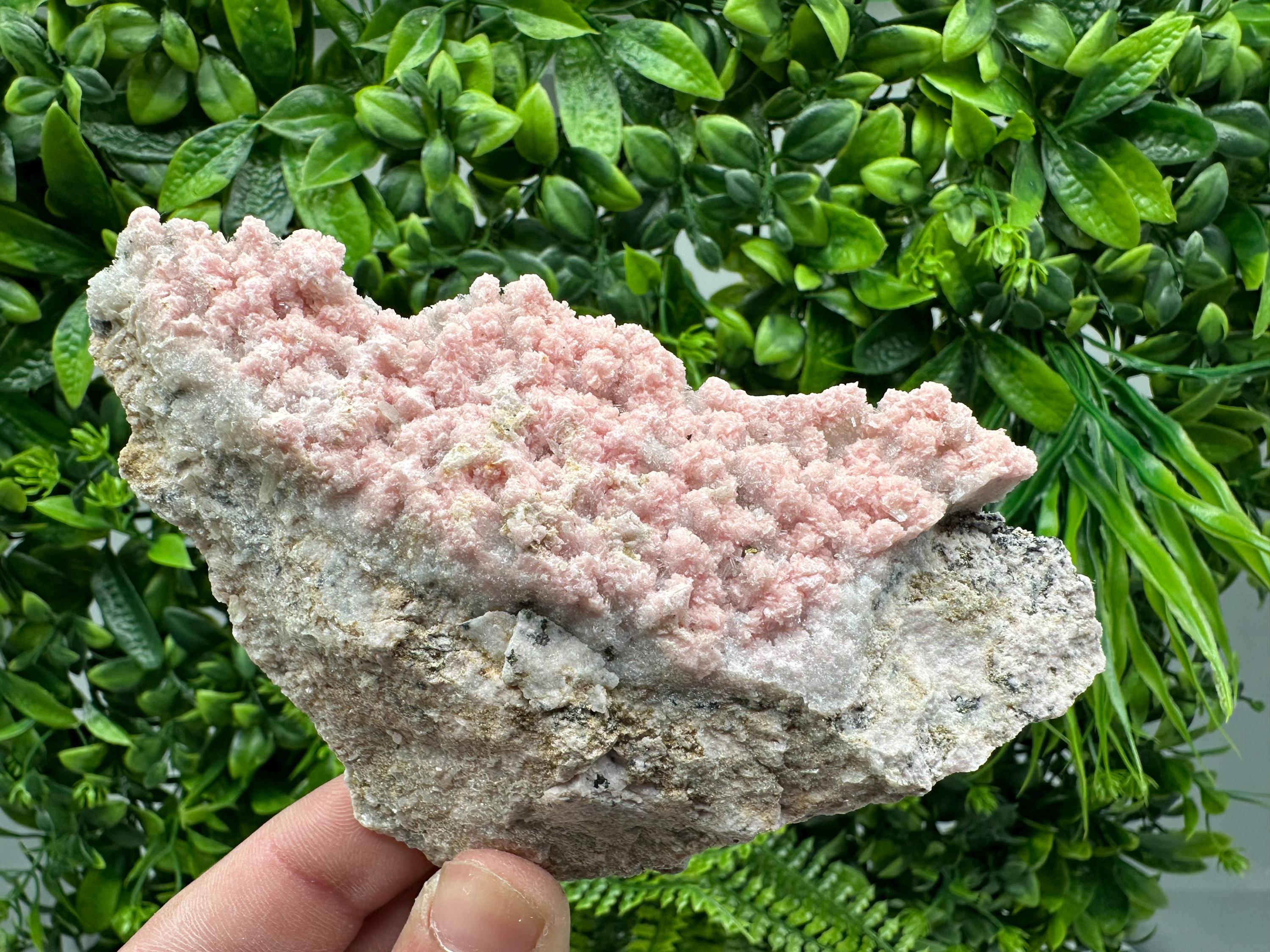 Rhodochrosite on Quartz, Starnica Mine, Bulgaria
