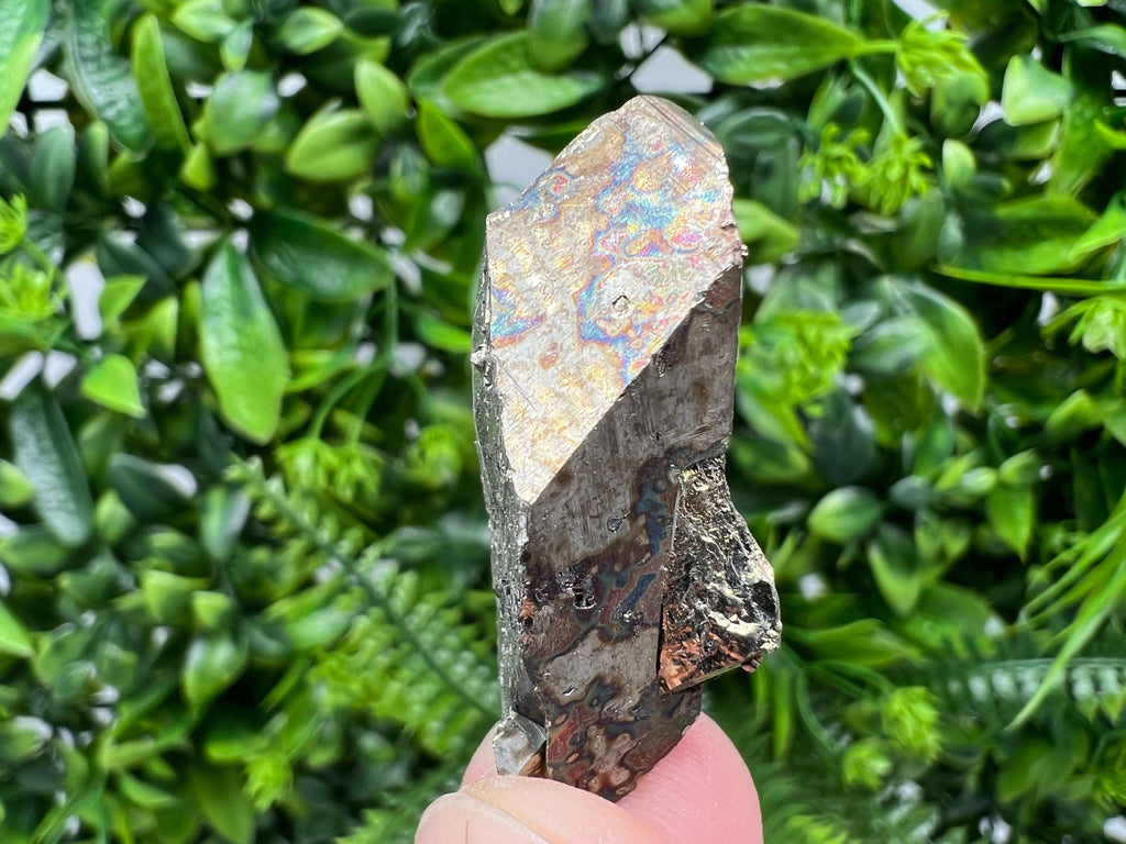 Rare Rainbow Pyrite Cluster: Borieva Mine, Bulgaria