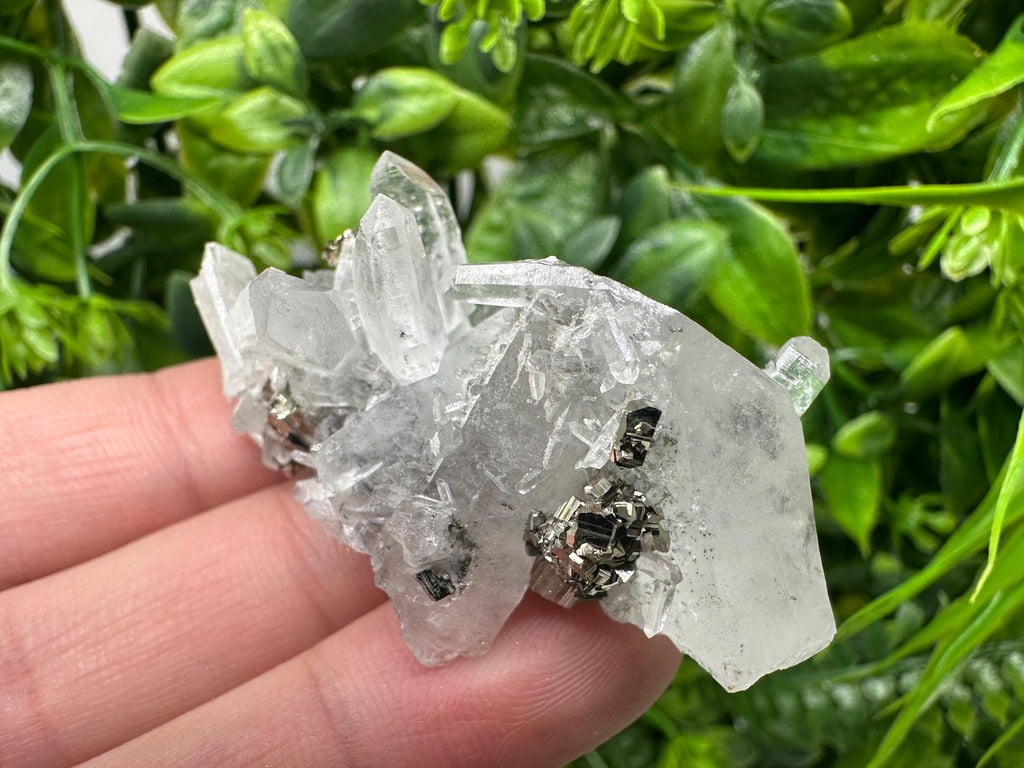Pyrite on Green Quartz Mineral Specimen, Borieva Mine Bulgaria