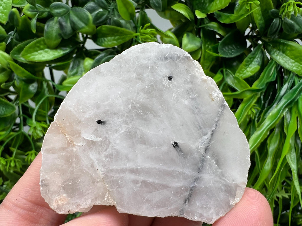 Quartz with Black Tourmaline Polished Slab: Crystal Slice