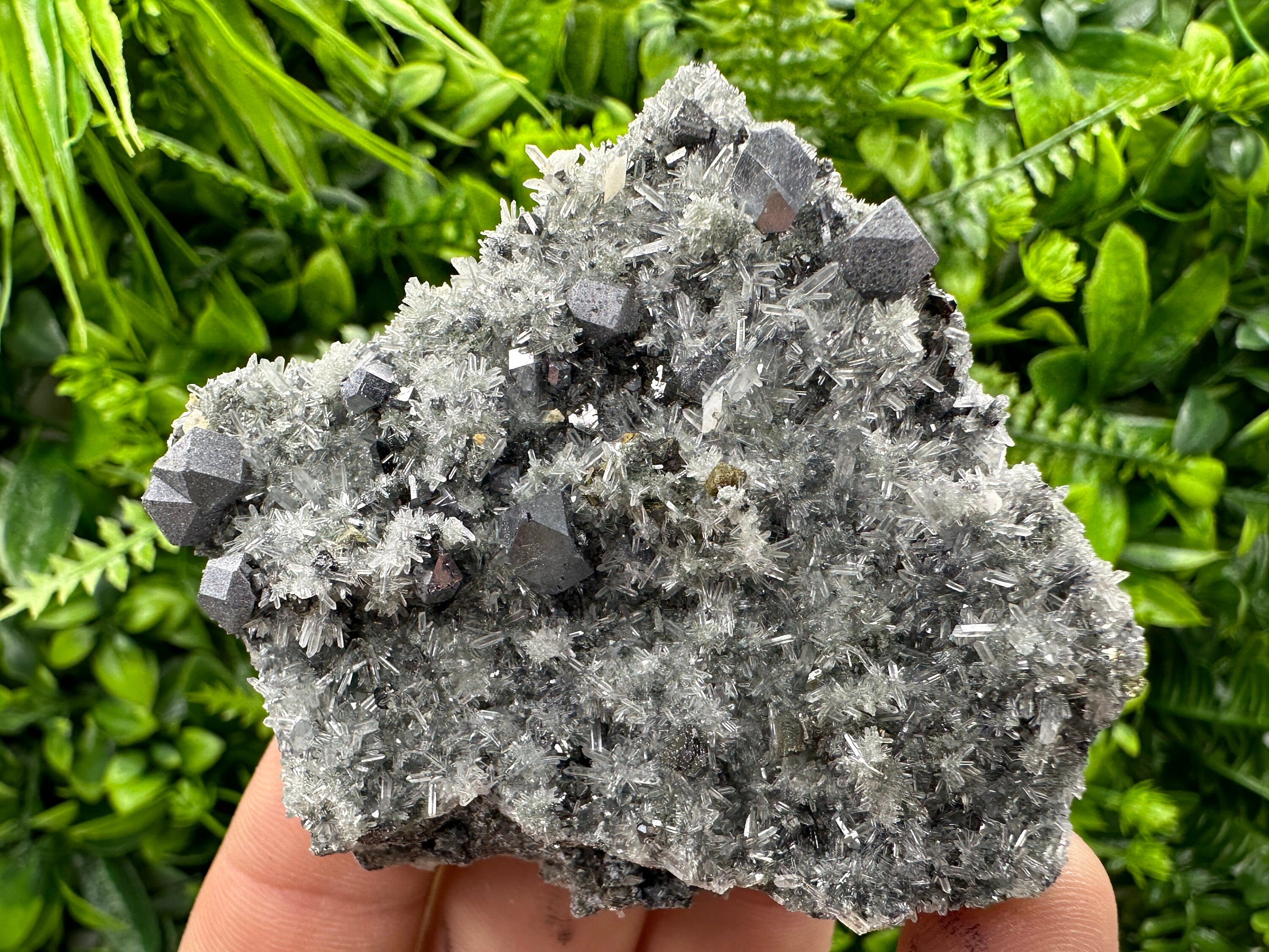 Galena on Quartz with Pyrite: Natural Crystal Home Decor Stone