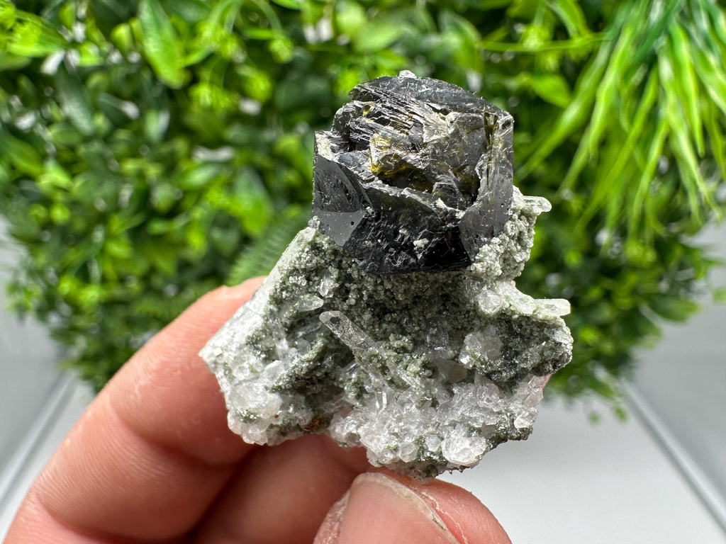 Stunning Sphalerite on  Quarzt from Borieva mine,Madan,Bulgaria,natural,collection mineral specimen,home decor crystal,gift,collection