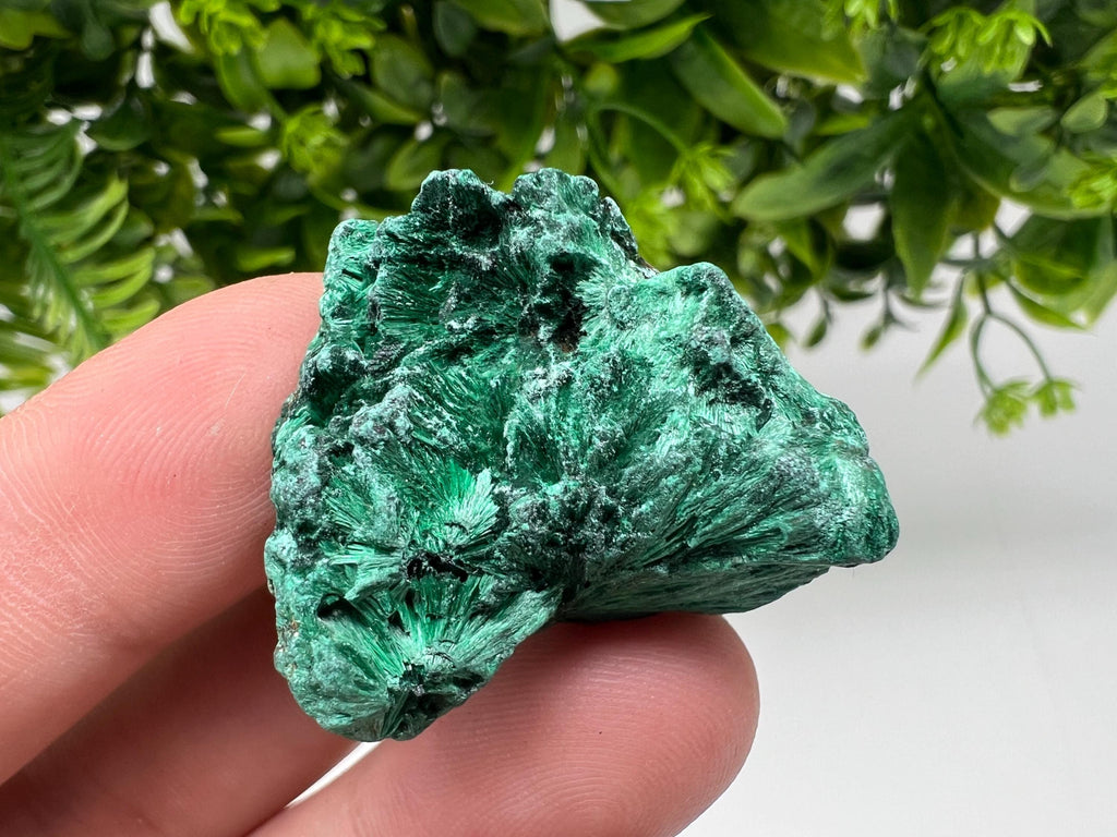 Malachite Crystal from Congo,Minerals,Crystals from Congo,Green Malachite, Malachite,Natural Malachite,Malachite Stone,Chakra, Specimens