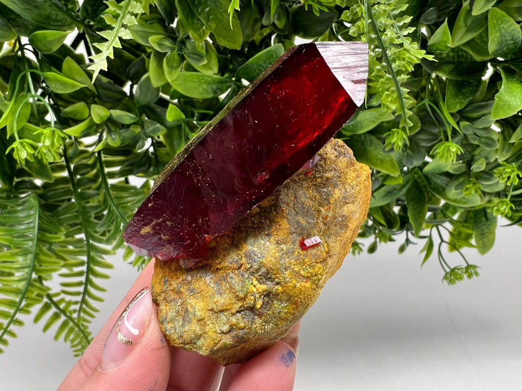 XXL Laboratory Pruskite Ruby Crystal on Matrix