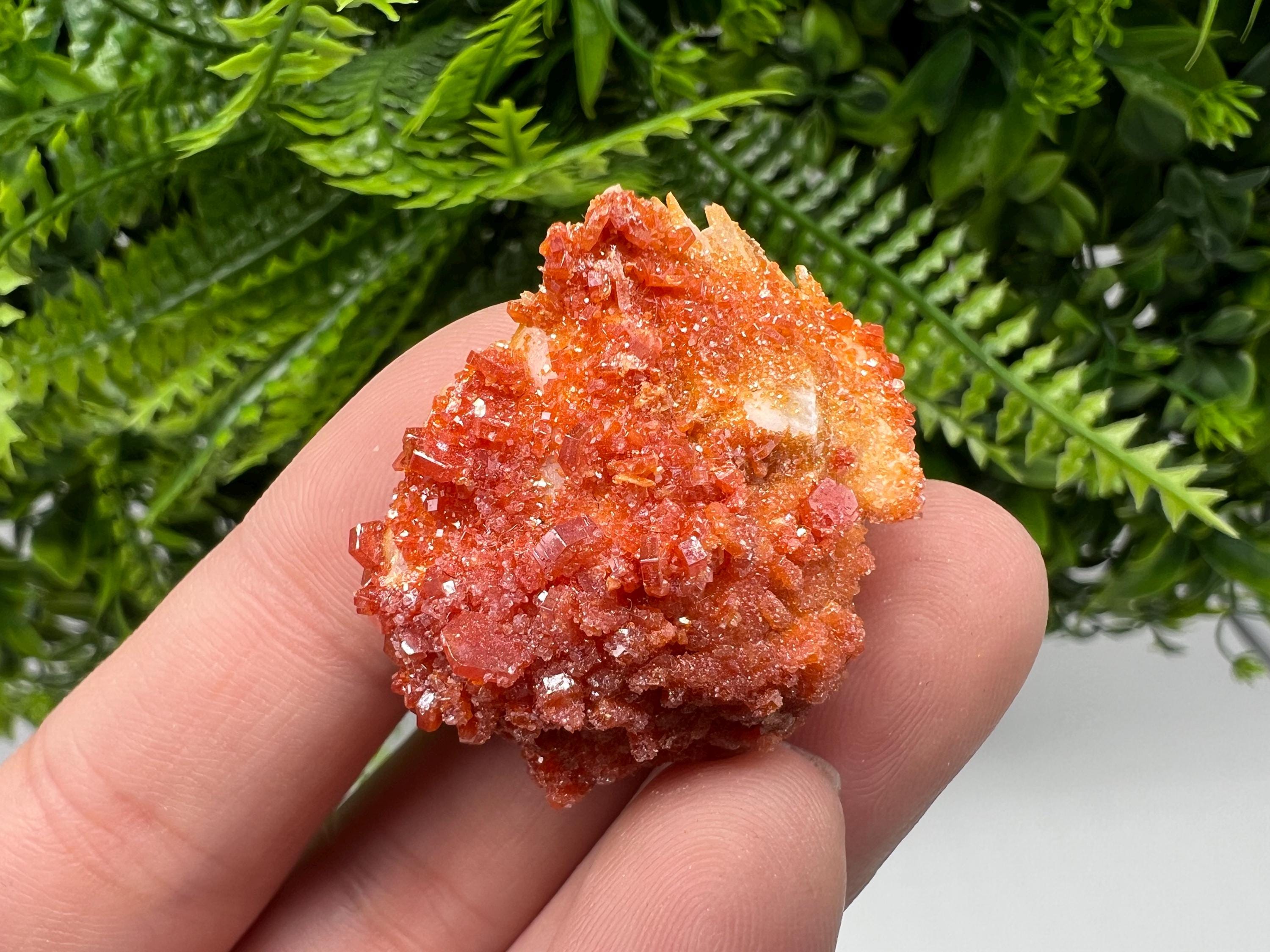 Red Vanadinite Crystal Cluster on Barite, Morocco Mineral Specimen