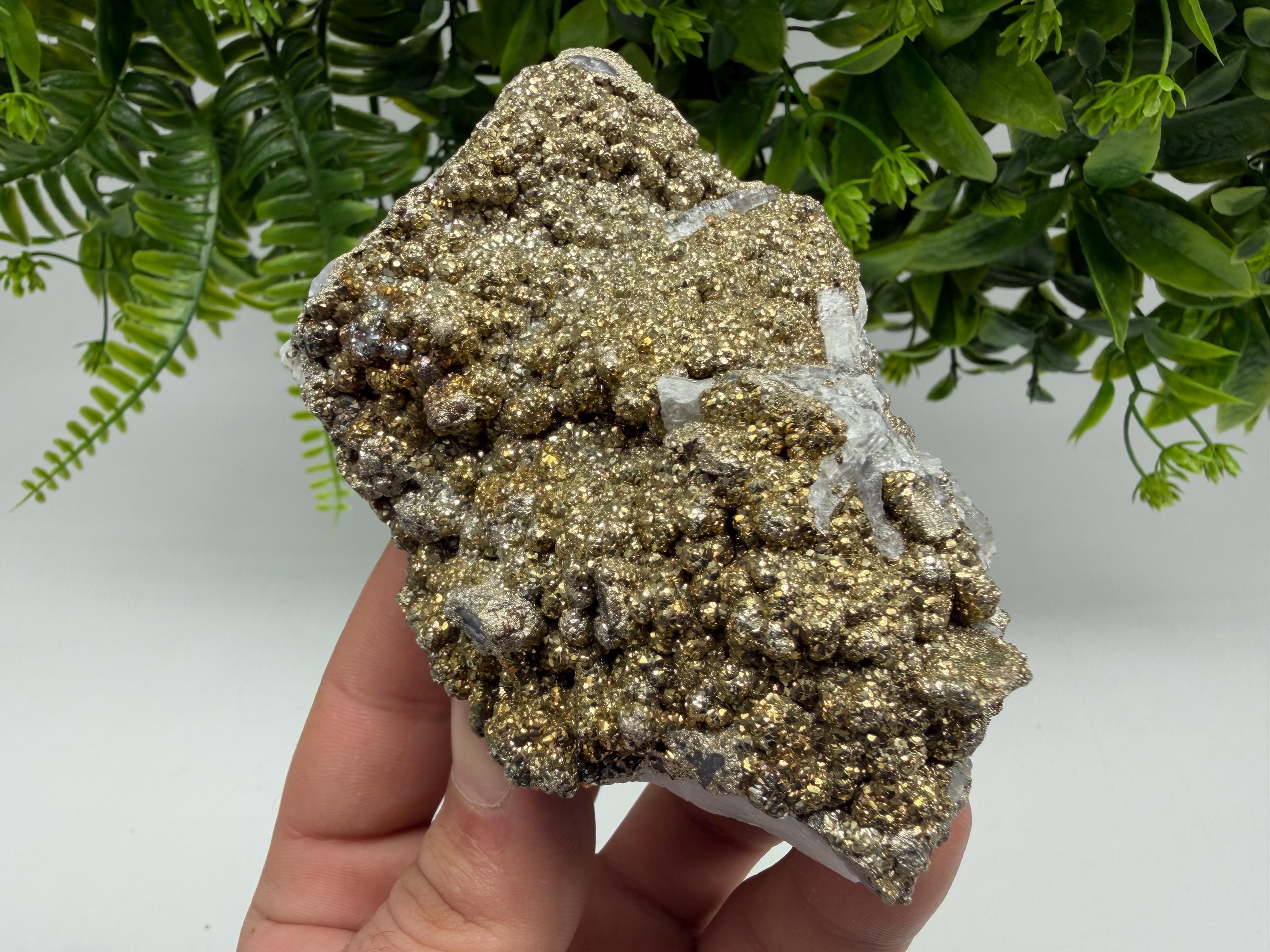 Marcasite Cluster on Chalcedony Mineral Specimen, Androvo Mine Bulgaria