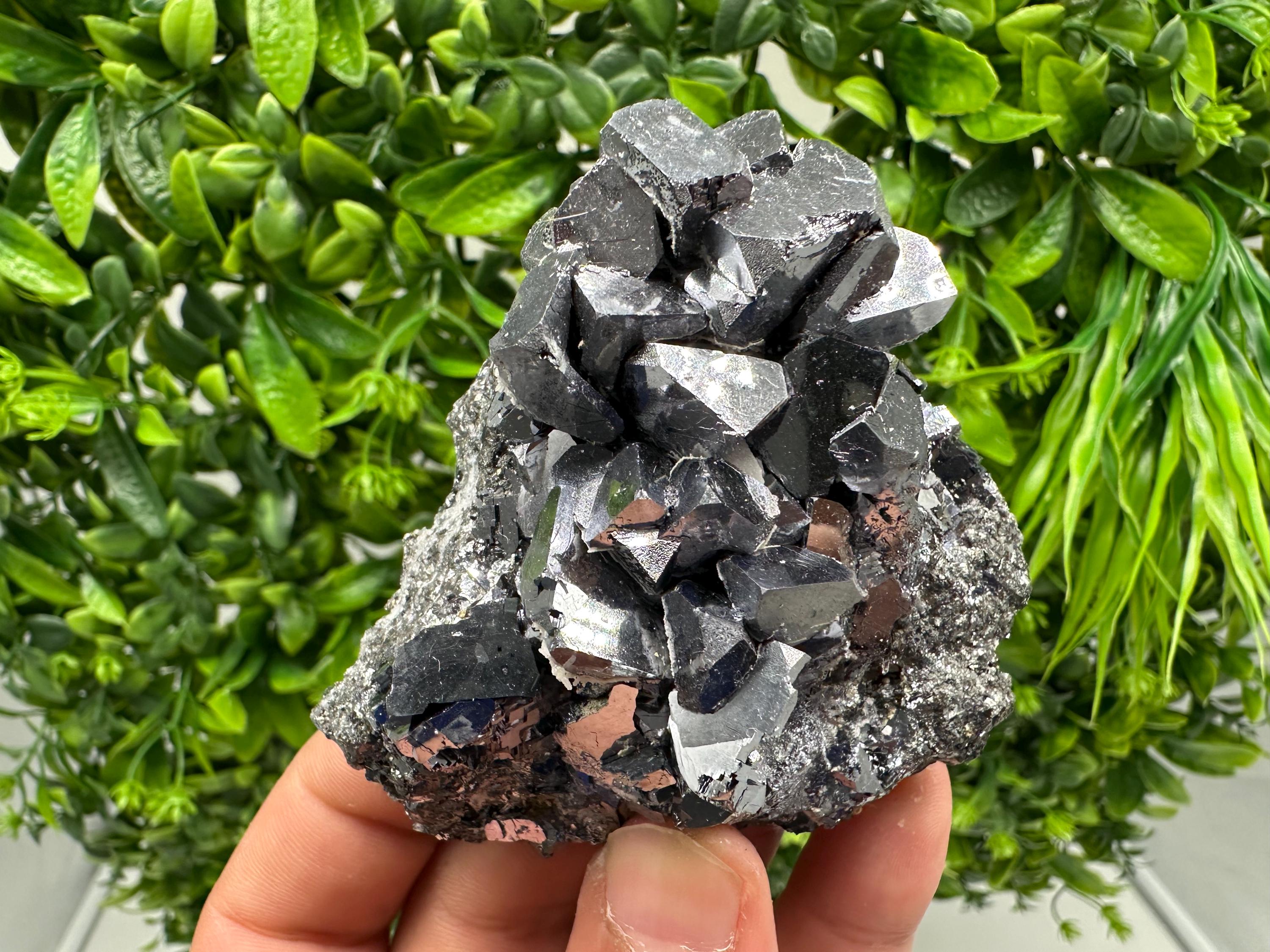 Rare Galena Cubes, Extra Mirror, Marzyan Mine, Bulgaria