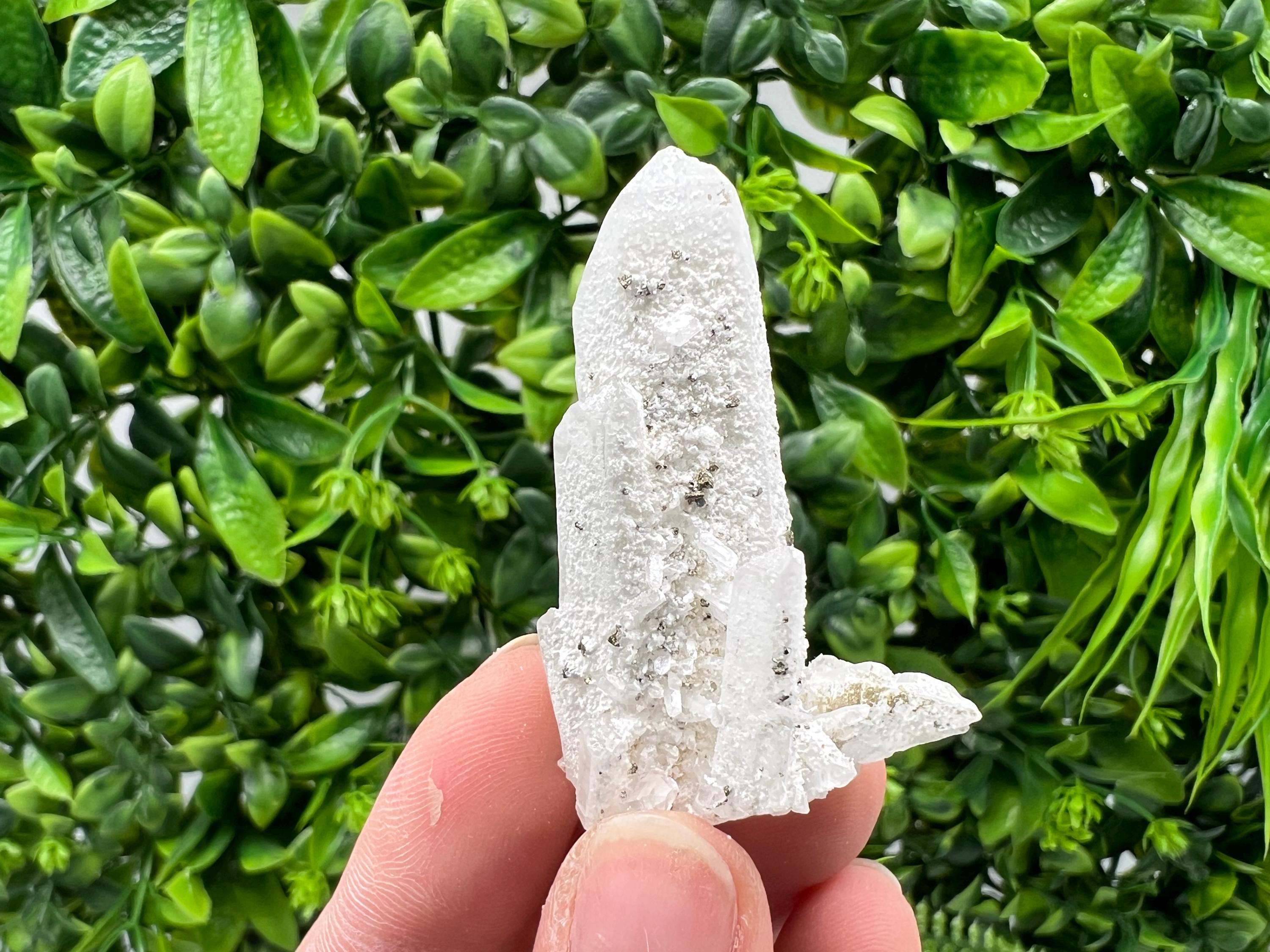 Quartz with Pyrite Crystal: Krushev Dol Mine, Bulgaria
