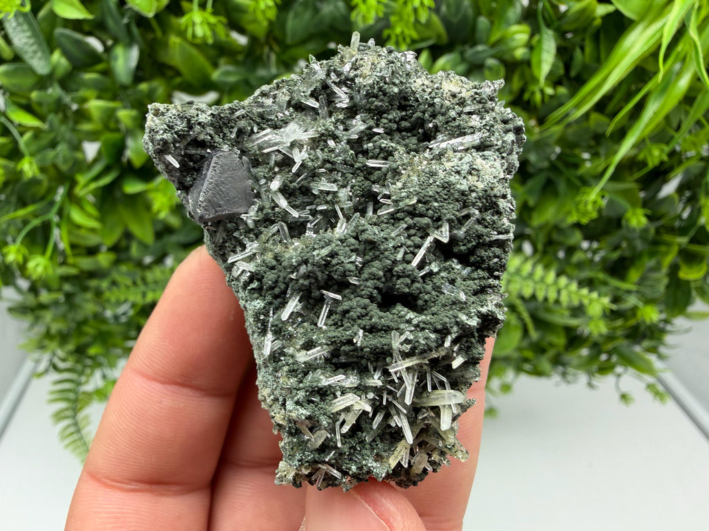 Sphalerite  on Green Quartz: Borieva Mine Crystal Decor