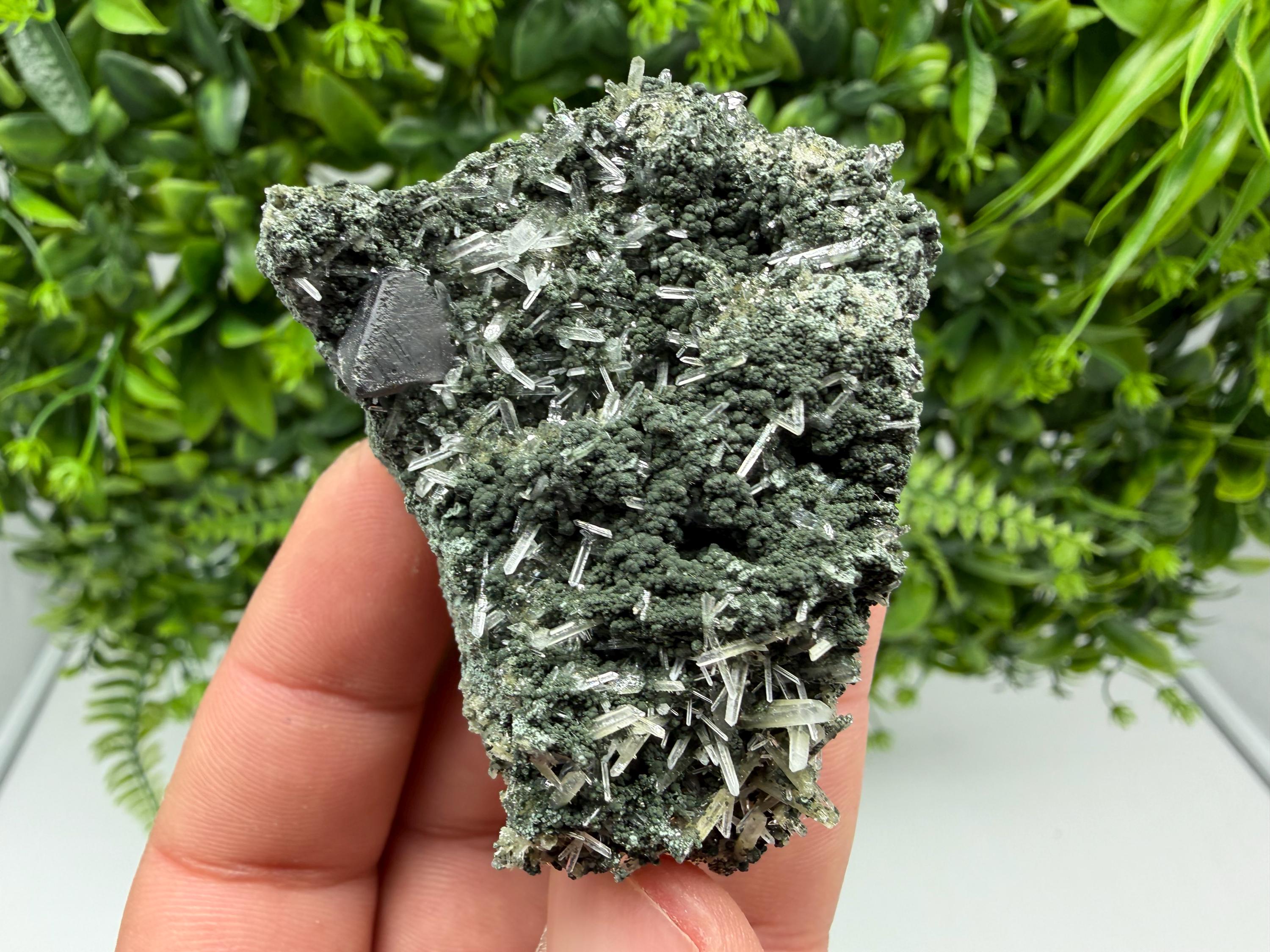Sphalerite  on Green Quartz: Borieva Mine Crystal Decor