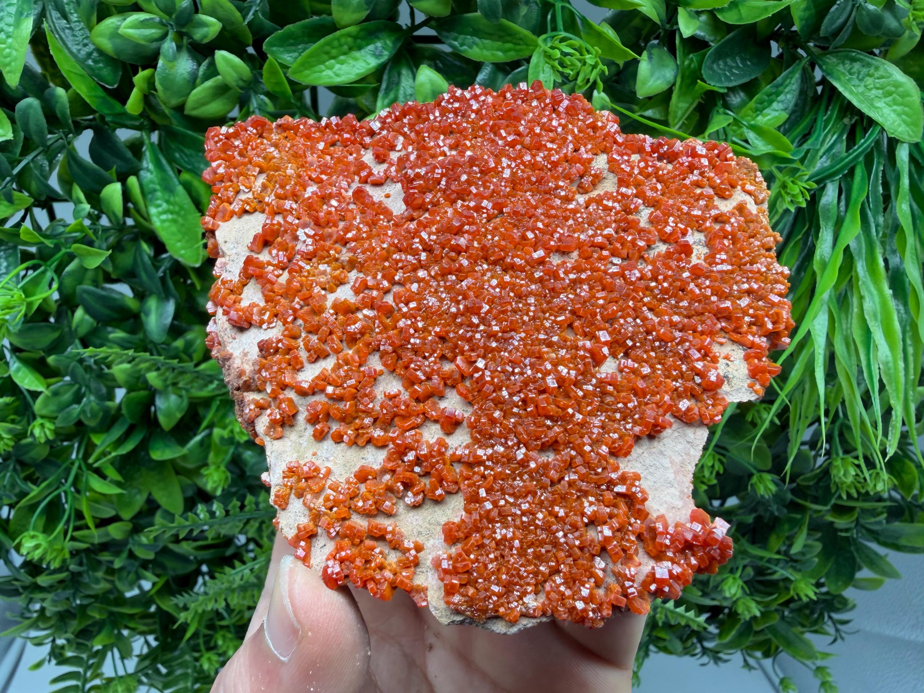 Red Vanadinite on Matrix from Marocco,crystal minerals Speciment cluster Vanadinite crystal Vanadinite Geology Vanadinite cluster minerals