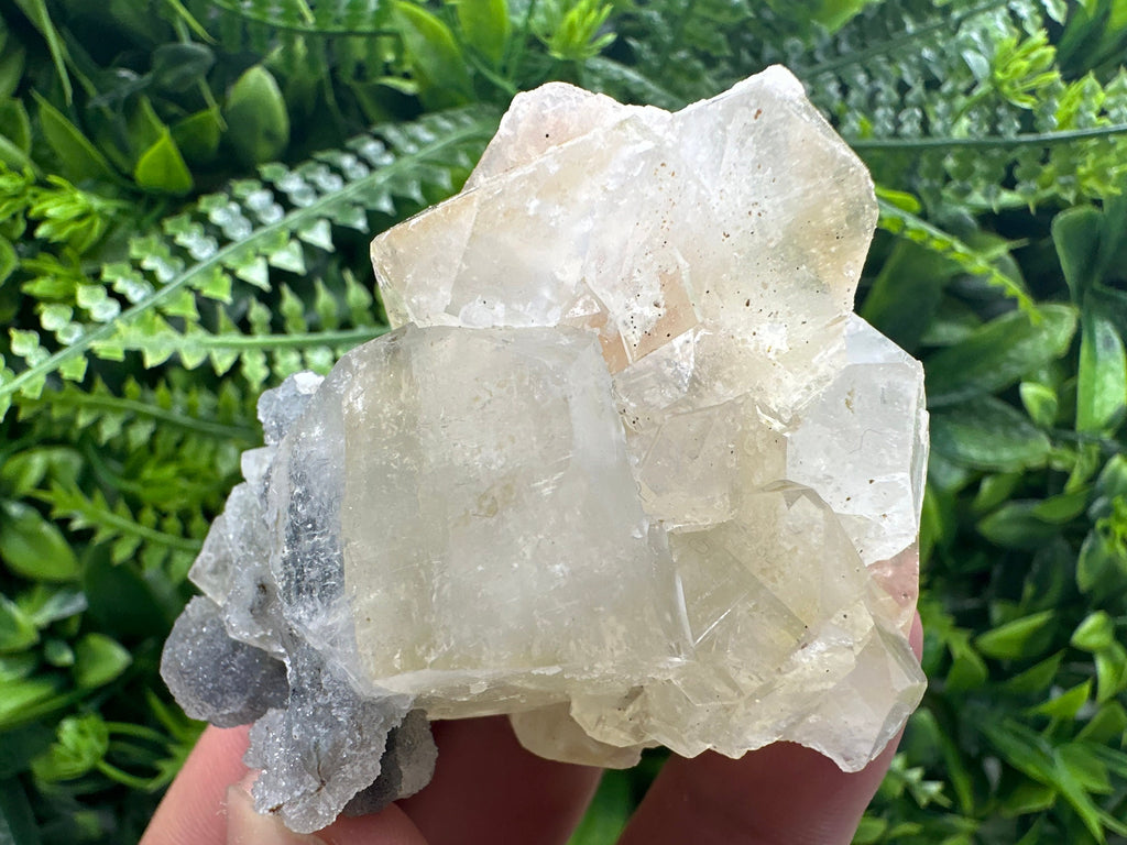 Apophyllite Stilbite on Chalcedony, India Mineral Specimen
