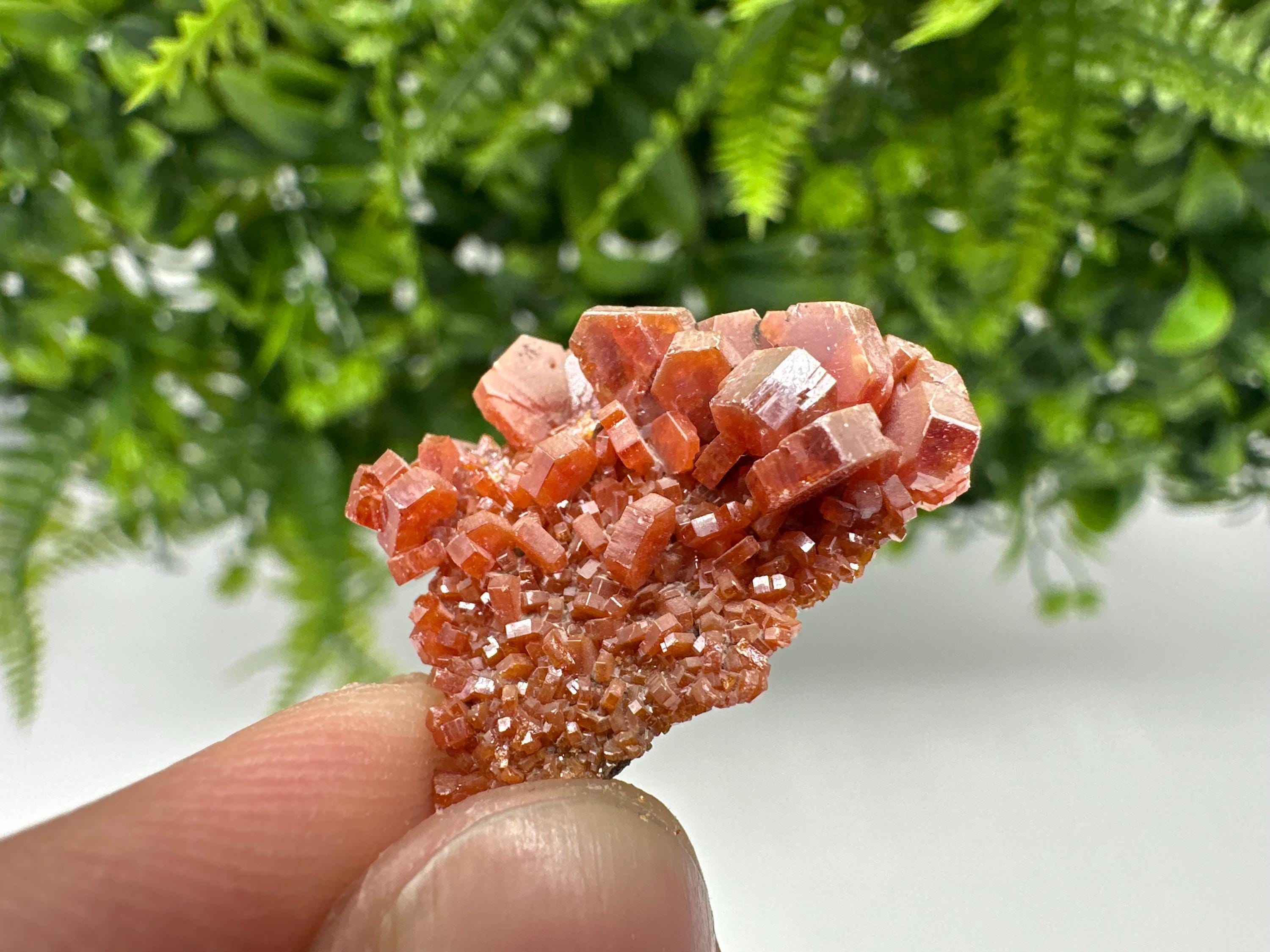 Red Vanadinite on Barite, Morocco Crystal Specimen, Geology Minerals