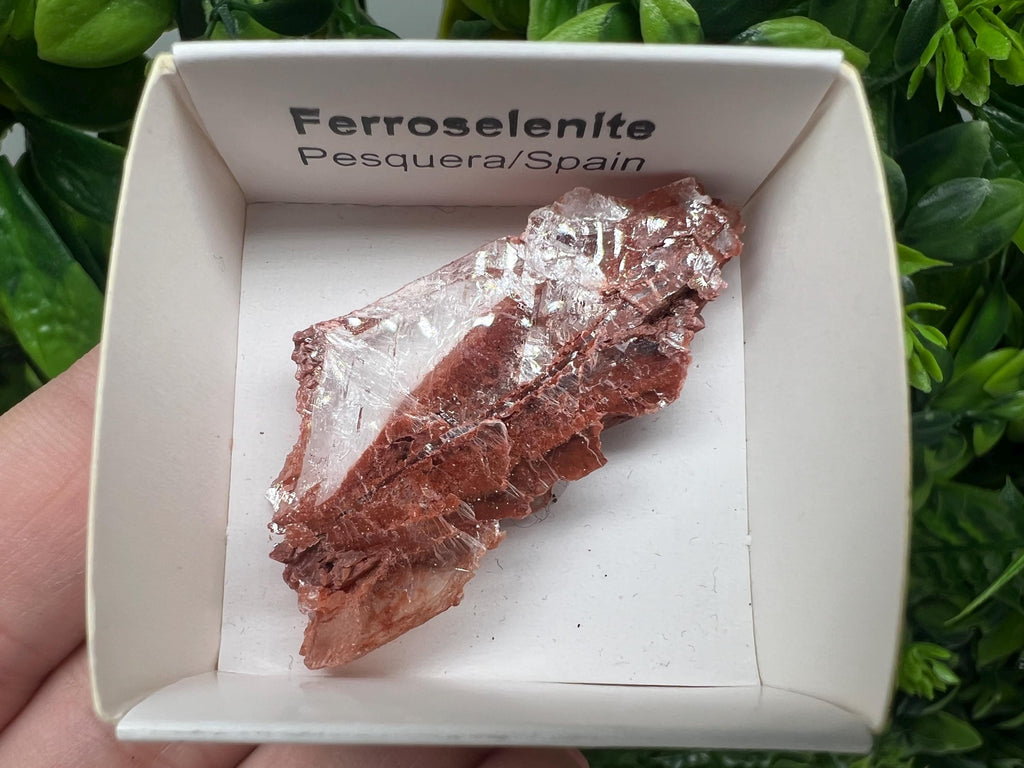 Rare Ferroselenite Crystal Specimen: La Pesquera, Spain (4.5/2.5 cm)