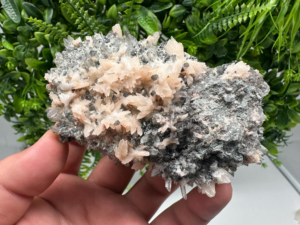 Calcite on Green Quartz: Djurcovo Mine, Bulgaria Crystal