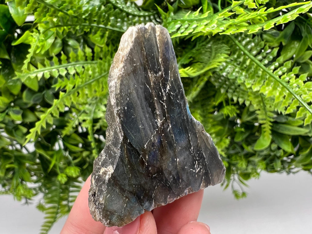 Polished Labradorite Slab: Multifire Crystal Decor - 70 Grams