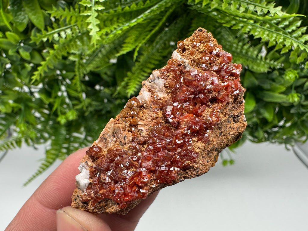 Red Vanadinite Crystal Cluster on Barite Matrix, Morocco Mineral Specimen