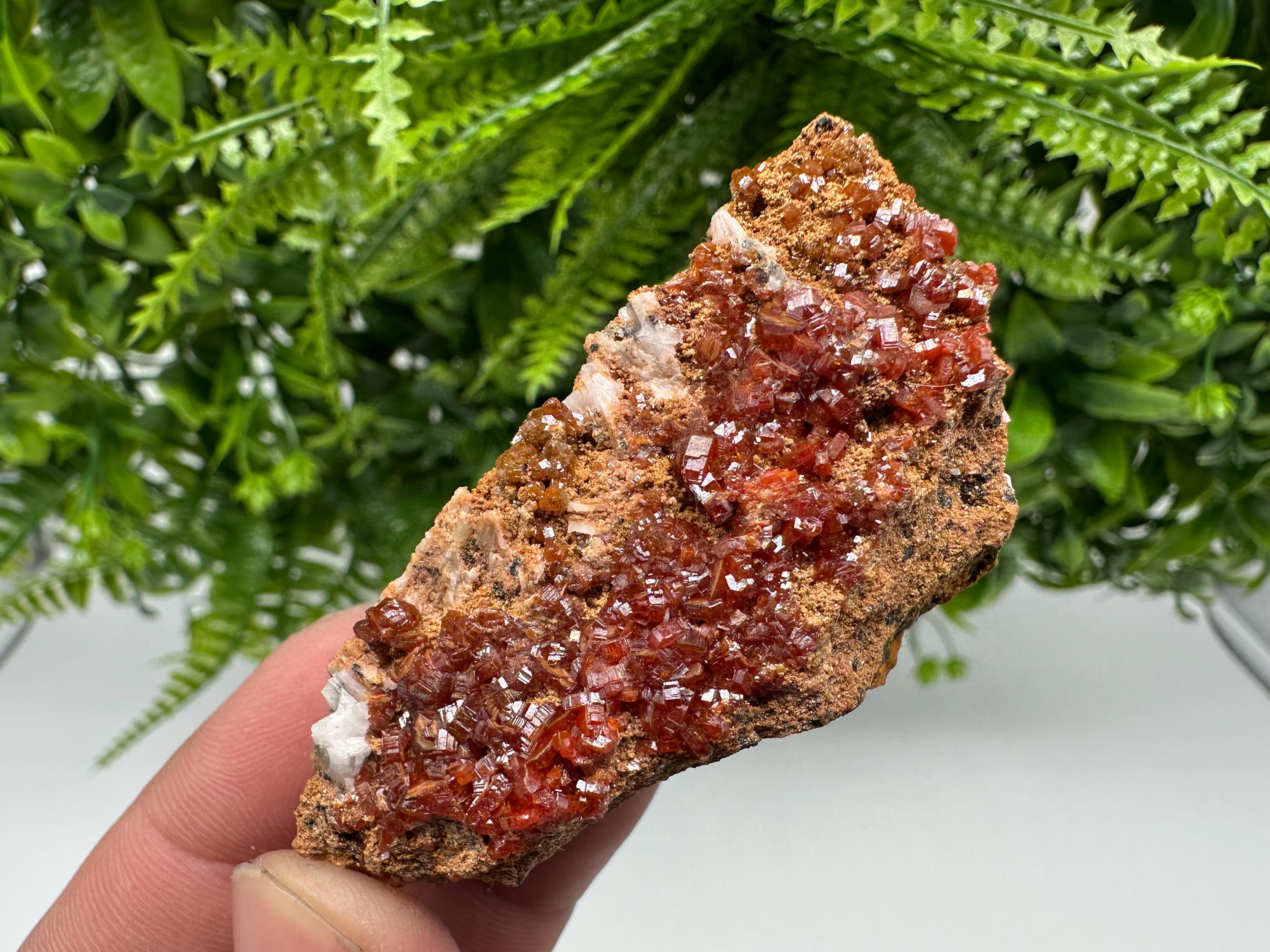 Red Vanadinite Crystal Cluster on Barite Matrix, Morocco Mineral Specimen