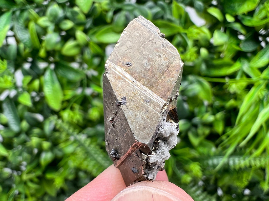 Mini Rainbow Pyrite Cluster: Borieva Mine, Bulgaria