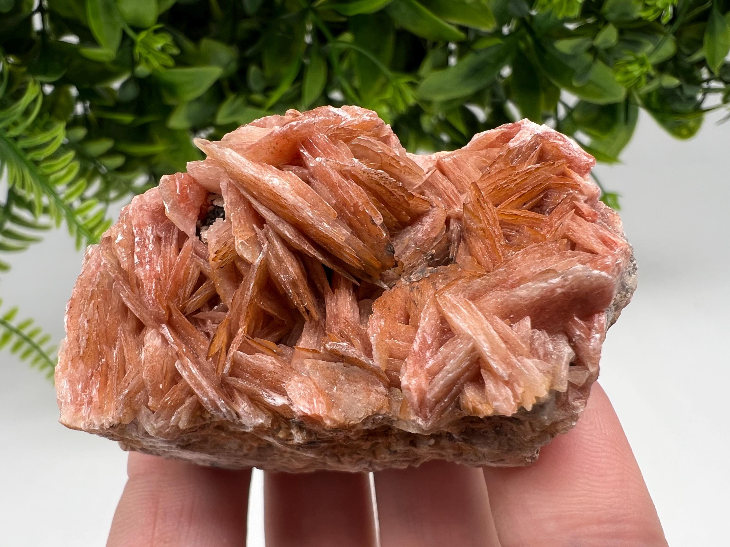 Wonderful Baryte with Cerussite on Galena from Morocco,Crystal, Mineral,Specimen,Cluster,Crystals,Barite Crystal,Cerussite Crystal,Specimen