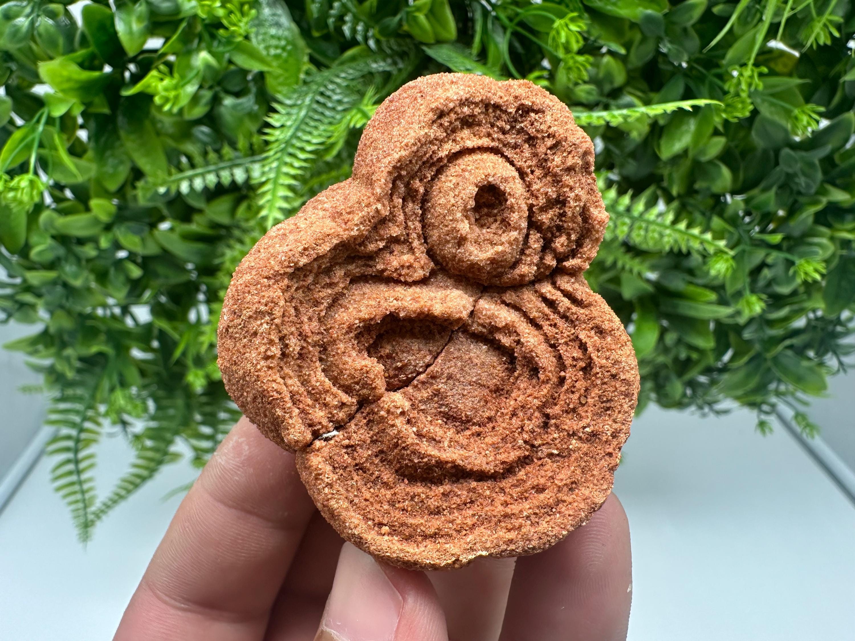 Moroccan Stromatolite Fossil Specimen: Raw Algae Stone for Grounding