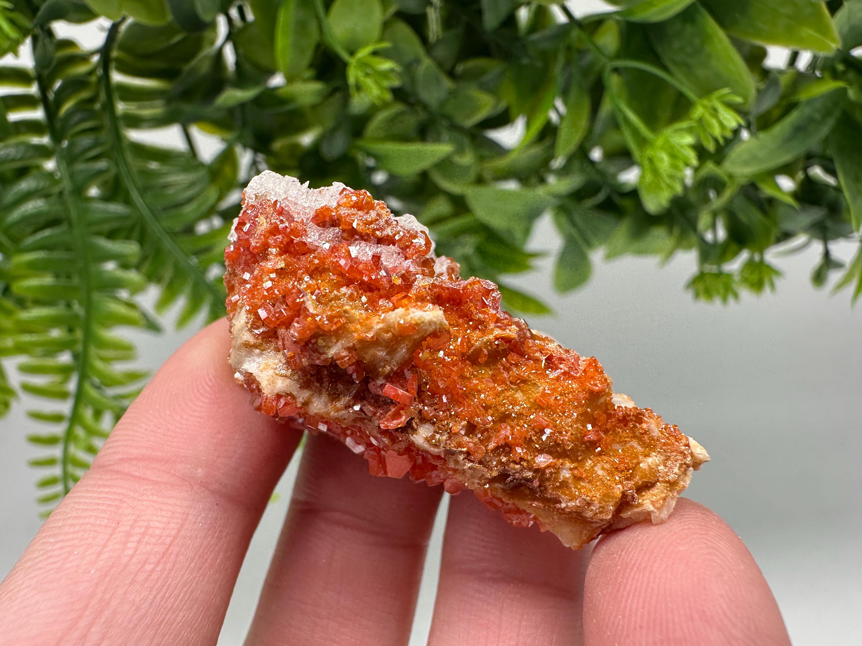 Red Vanadinite on Barite from Marocco,crystal minerals Speciment cluster Vanadinite crystal Vanadinite Geology Vanadinite cluster minerals