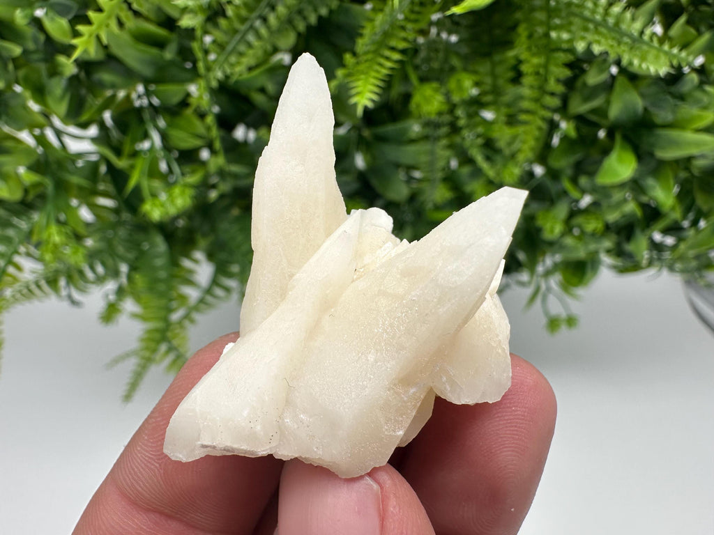 Calcite on Aragonite: Djurcovo Mine, Bulgaria Crystal