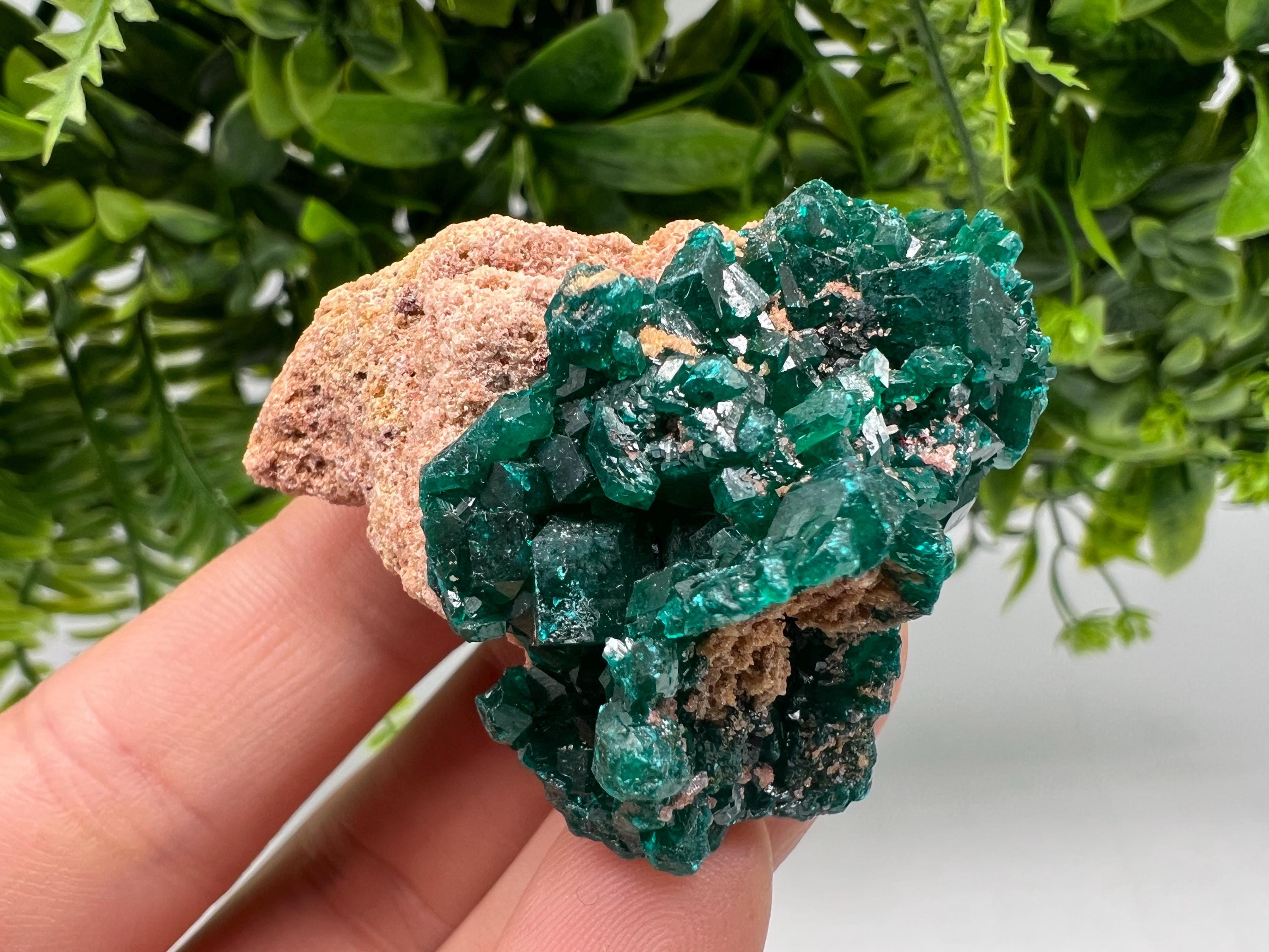 Stunning Green Dioptase from Sanda Hills,Mindouli,Pool Department,Mindouli District,Congo,green Dioptase,Dioptas Crystal,Dioptase collecting