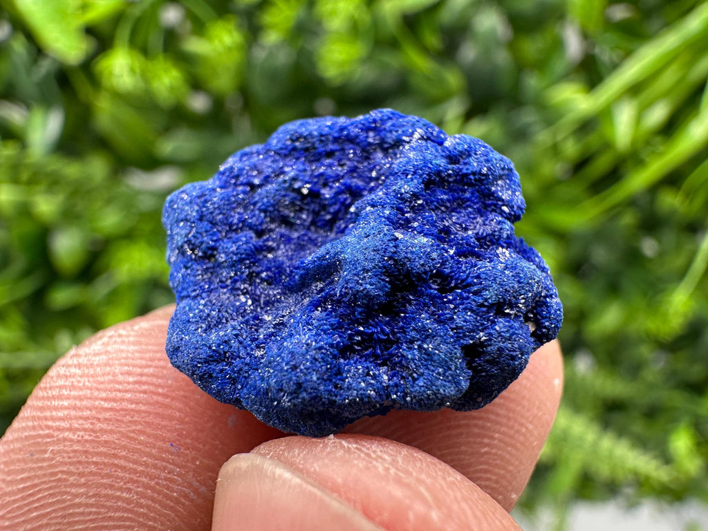 Crystallized Azurite-Kerrouchen,Morocco-Blue Azurite Specimen-High Quality Blue Azurite-Azurite Mineral Specimen, gemmy,lustrous of Azurite