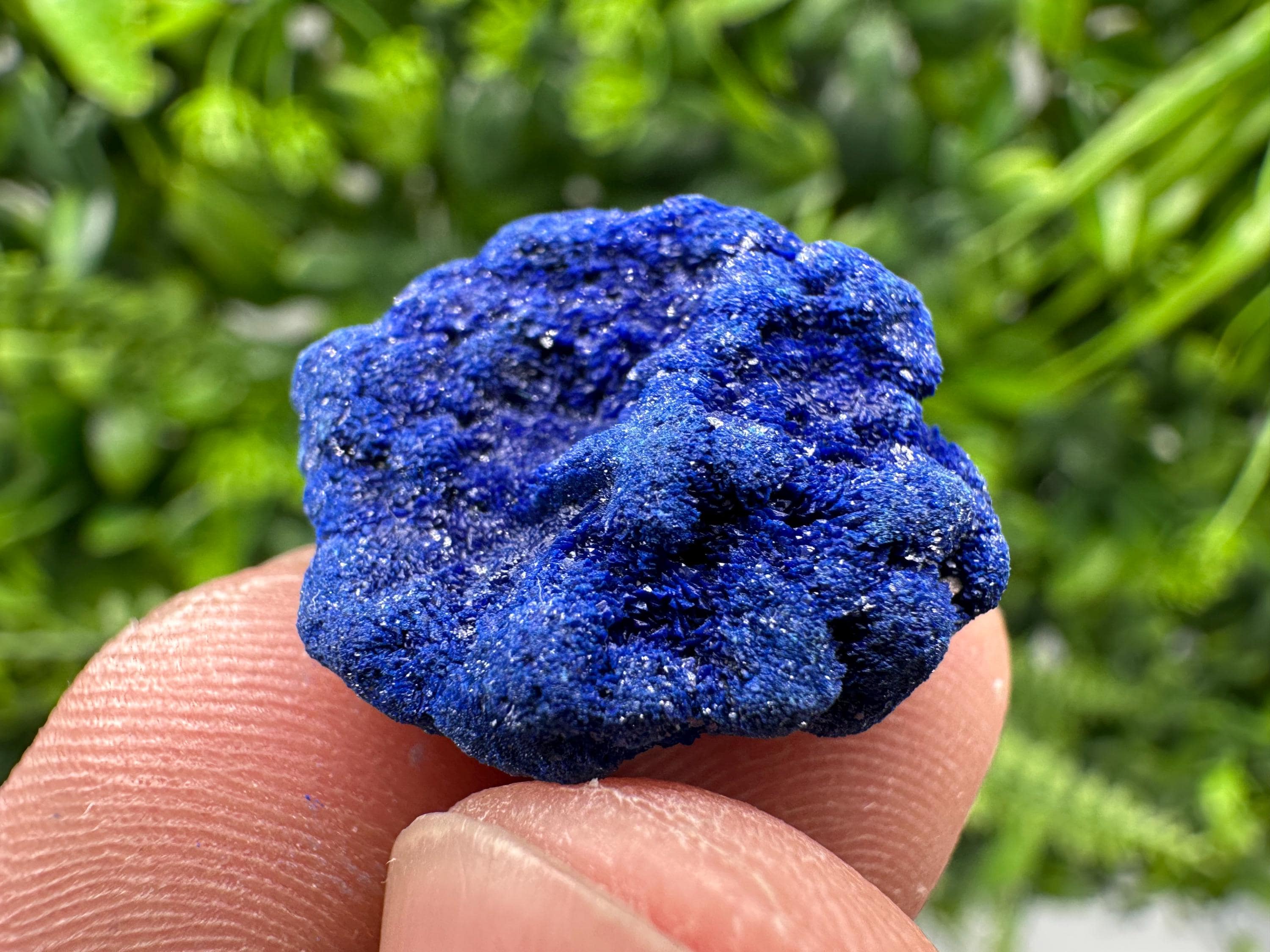 Crystallized Azurite-Kerrouchen,Morocco-Blue Azurite Specimen-High Quality Blue Azurite-Azurite Mineral Specimen, gemmy,lustrous of Azurite