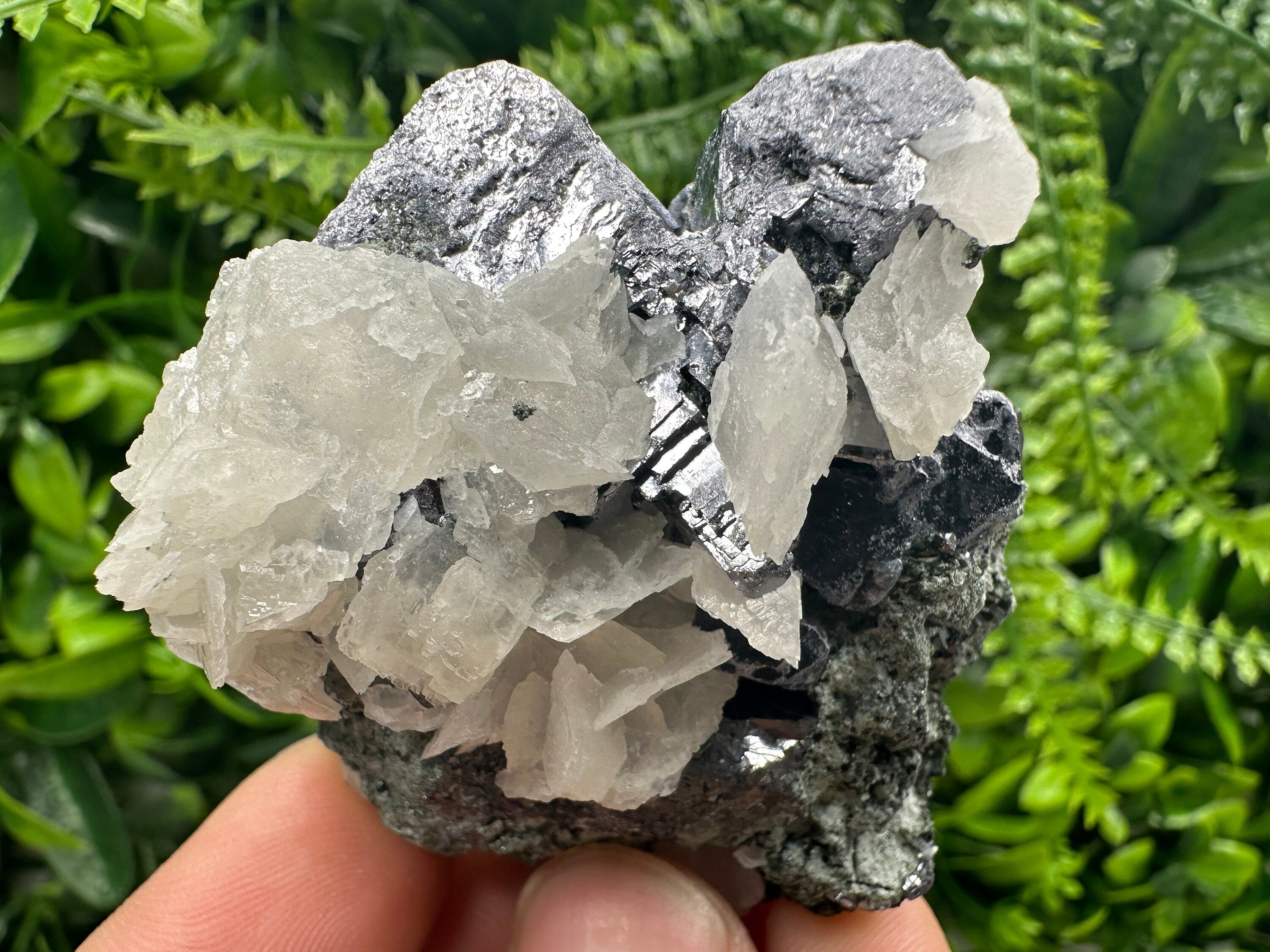 Galena on Sphalerite & Calcite: Natural Mineral Souvenir from Borieva Mine, Bulgaria