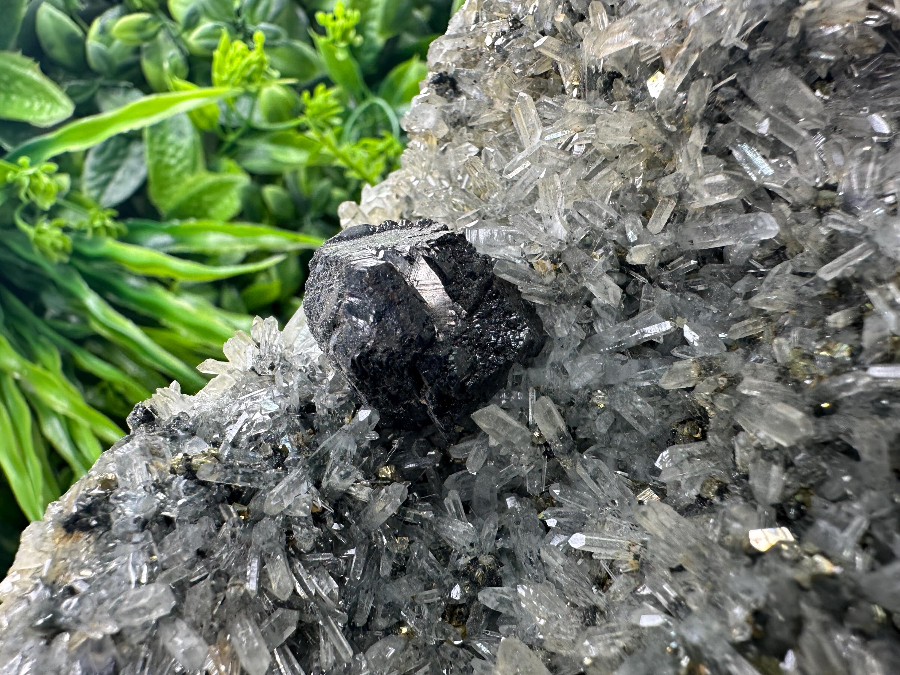 Sphalerite on Quartz with Pyrite, Borieva Mine Mineral Specimen
