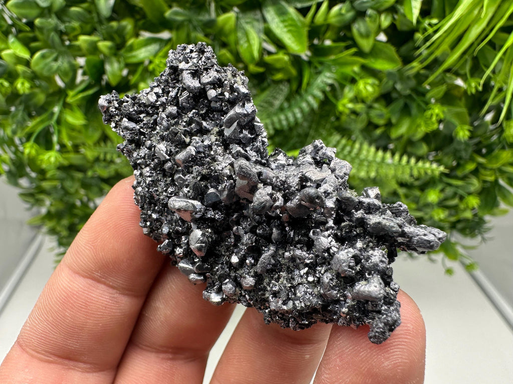 Sphalerite Galena Crystal Cluster with Quartz, Epidote & Chlorite