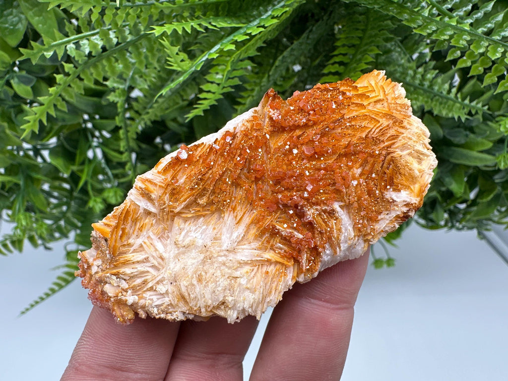 Red Vanadinite on Barite, Morocco Crystal Cluster