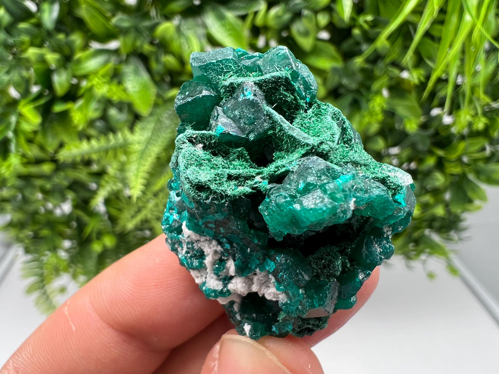 Stunning Green Dioptase from Sanda Hills,Mindouli,Pool Department,Mindouli District,Congo,green Dioptase,Dioptas Crystal,Dioptase collecting