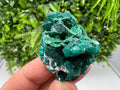 Stunning Green Dioptase from Sanda Hills,Mindouli,Pool Department,Mindouli District,Congo,green Dioptase,Dioptas Crystal,Dioptase collecting