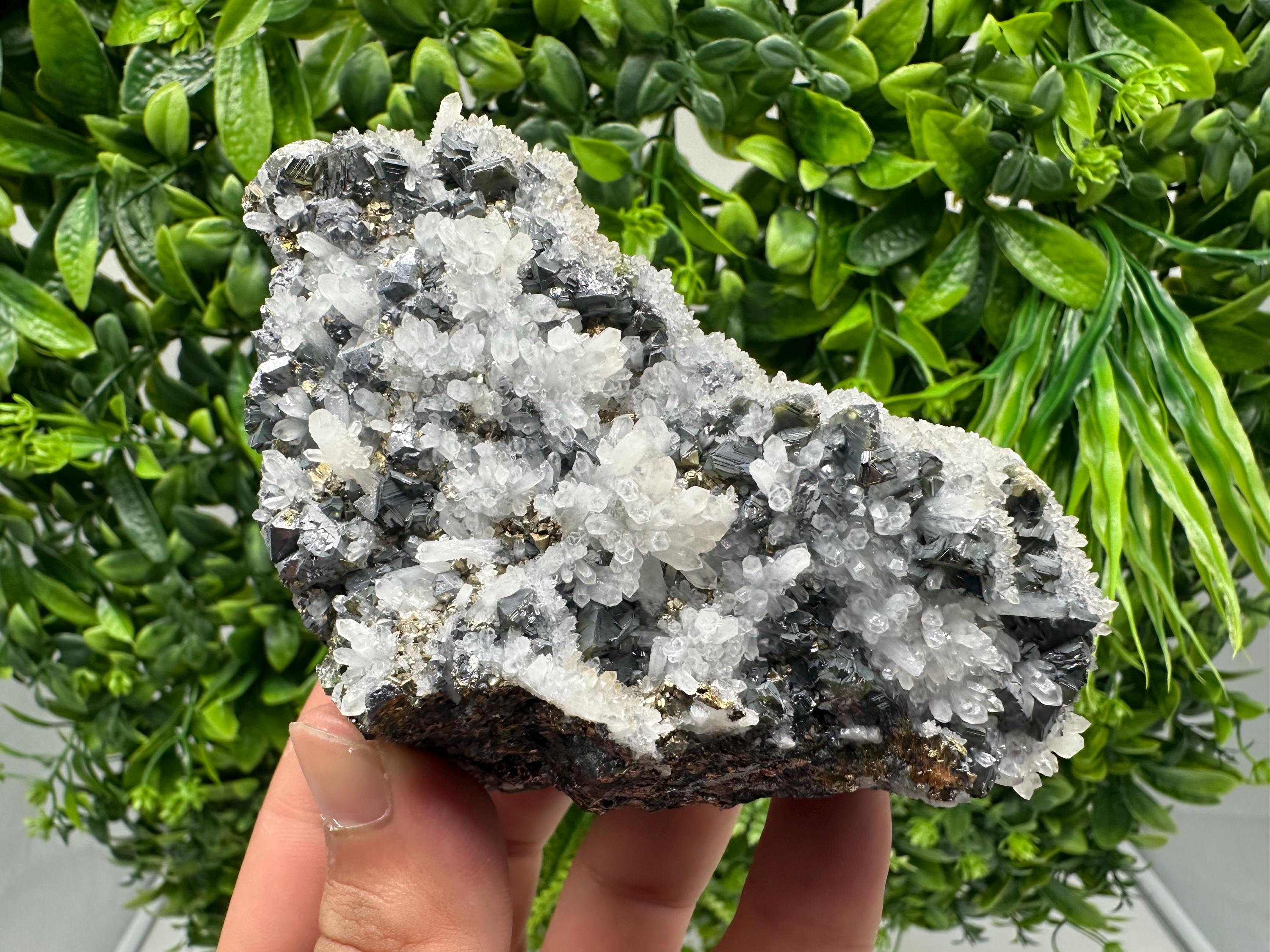 Rare Galena, Sphalerite, Pyrite Mineral Specimen: Krushev Dol Mine, Bulgaria
