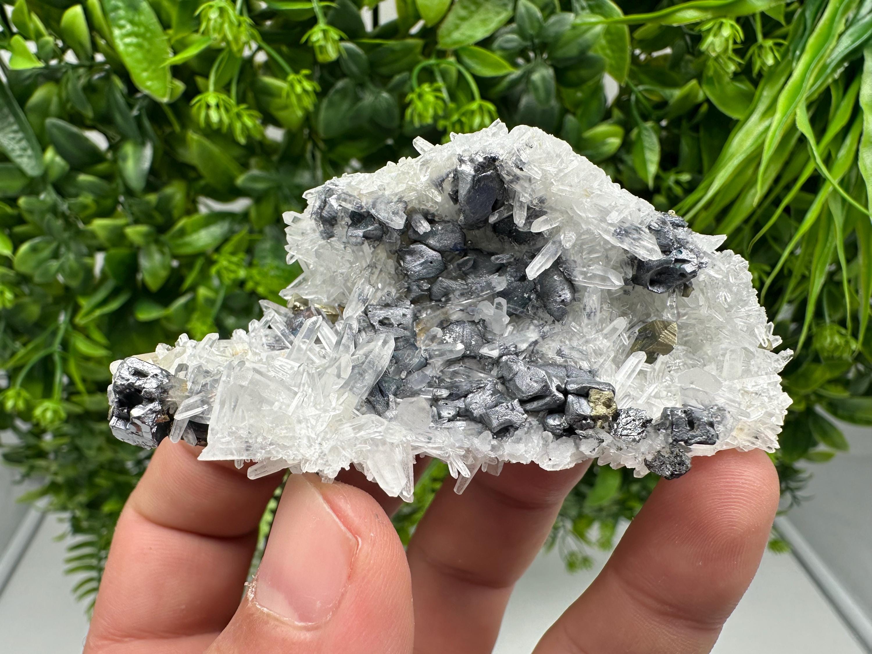 Aesthetic Natural shiny Galena whit Siderite and Quartz from 9 th September mine,Bulgaria,collection specimen,rare galena,Galena cluster