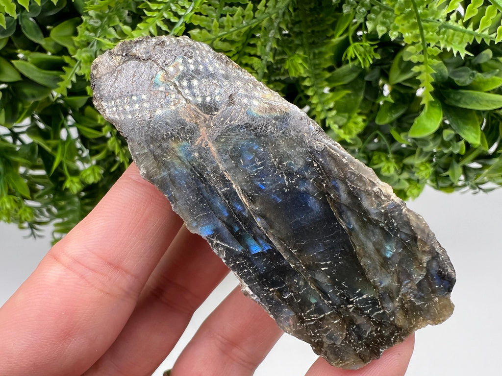 Polished Labradorite Slab: Multifire Crystal Decor - 8/3/3 CM